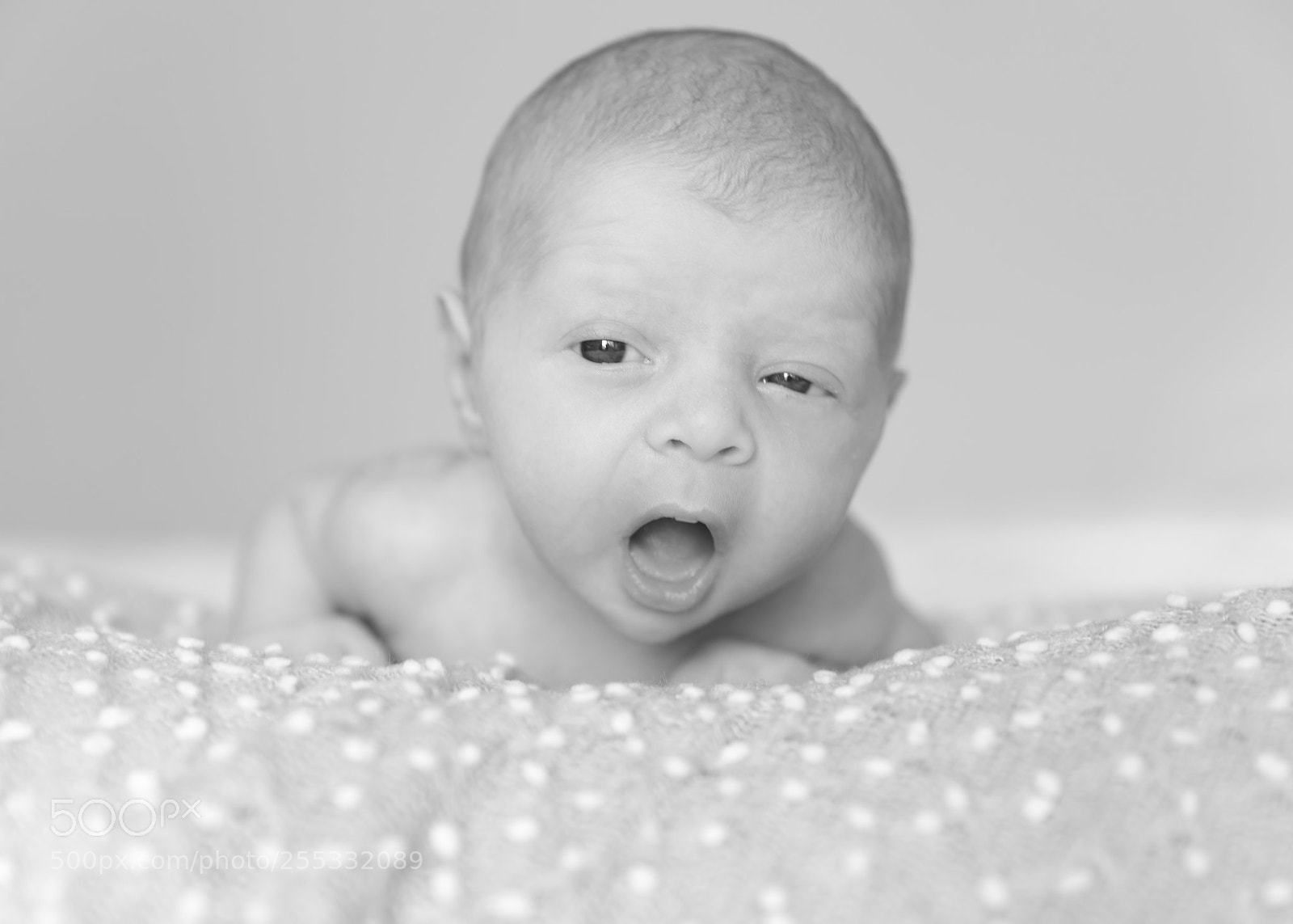 Canon EOS 6D Mark II sample photo. Workin' it. photography