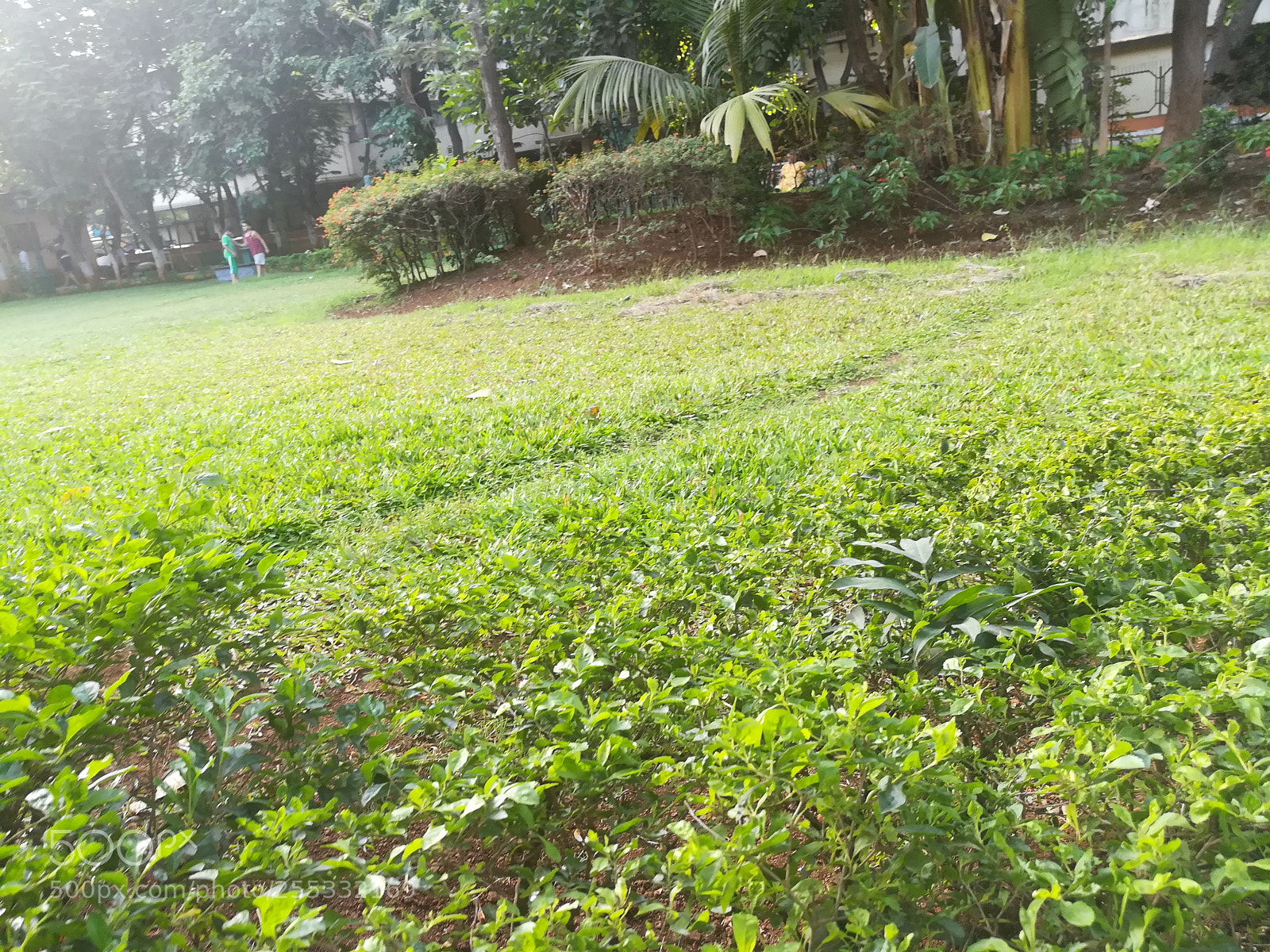 HUAWEI honor 6x sample photo. Untitled photography