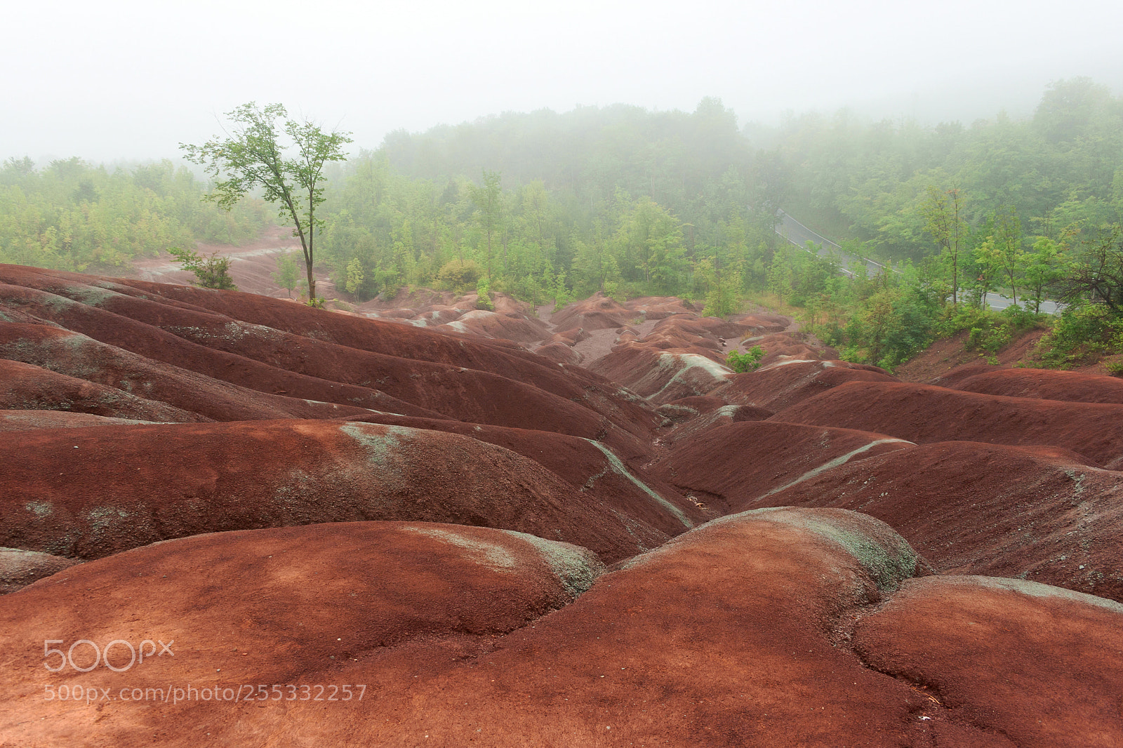 Canon EOS 400D (EOS Digital Rebel XTi / EOS Kiss Digital X) sample photo. Cheltenham badlands photography