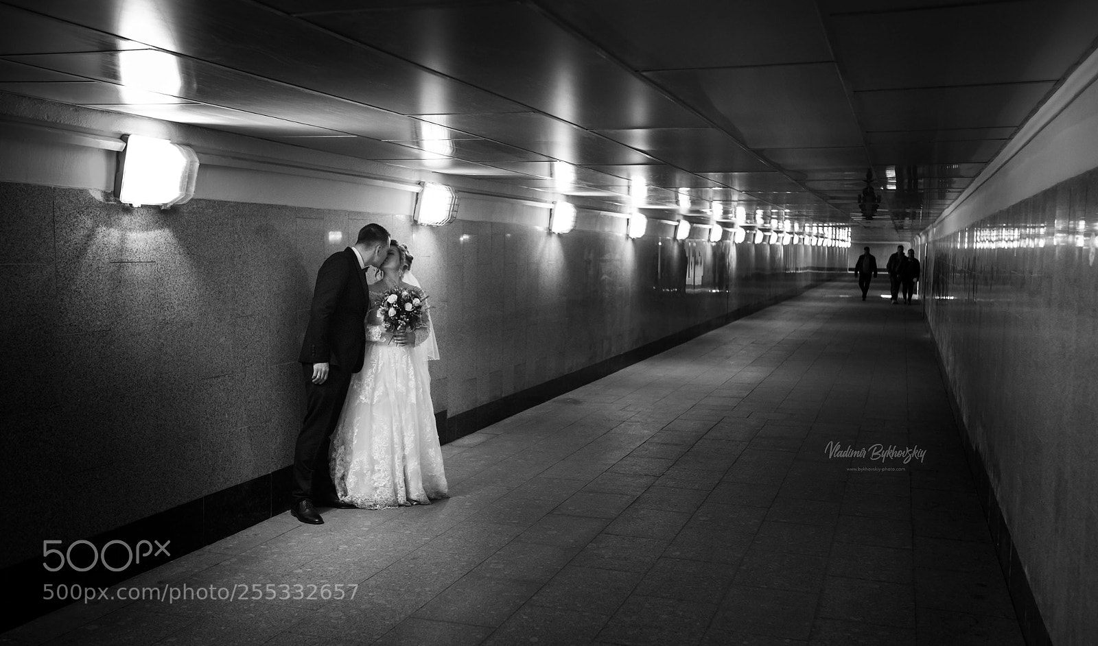 Canon EOS 5D Mark IV sample photo. Newlyweds in the city photography