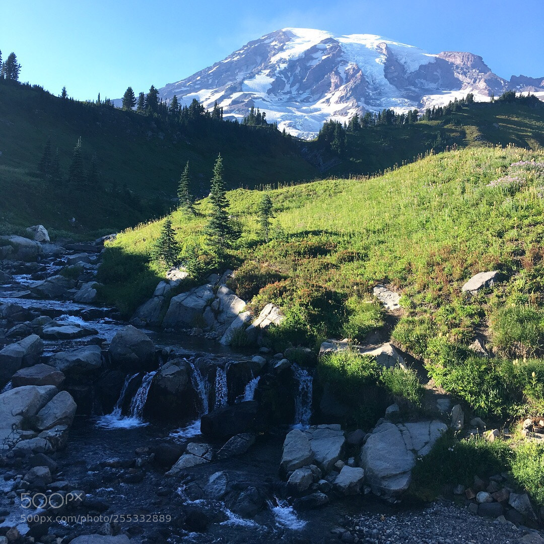 Apple iPhone SE sample photo. Mt. ranier photography