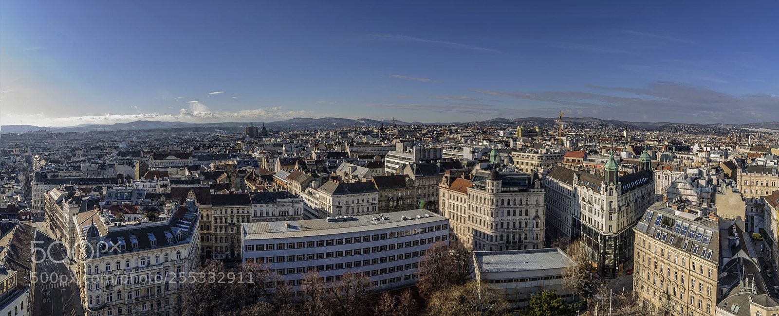 Nikon D90 sample photo. The viennese roofs (3) photography