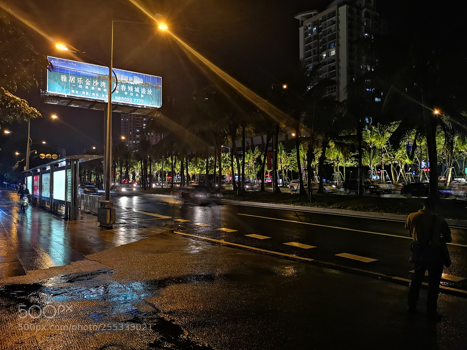 HUAWEI P20 Pro sample photo. Untitled photography