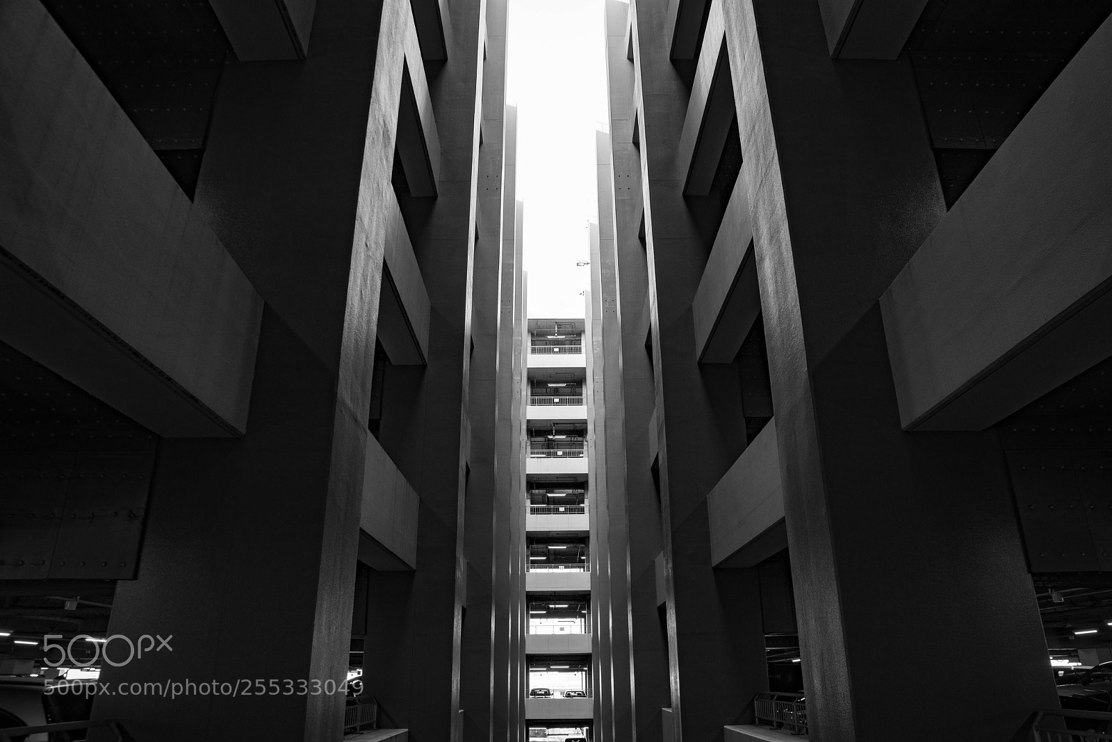 Nikon D810 sample photo. Auto park photography