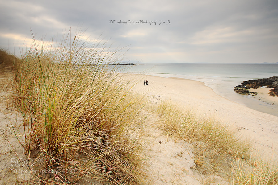 Canon EOS 5D Mark IV sample photo. Walkers on the beach photography
