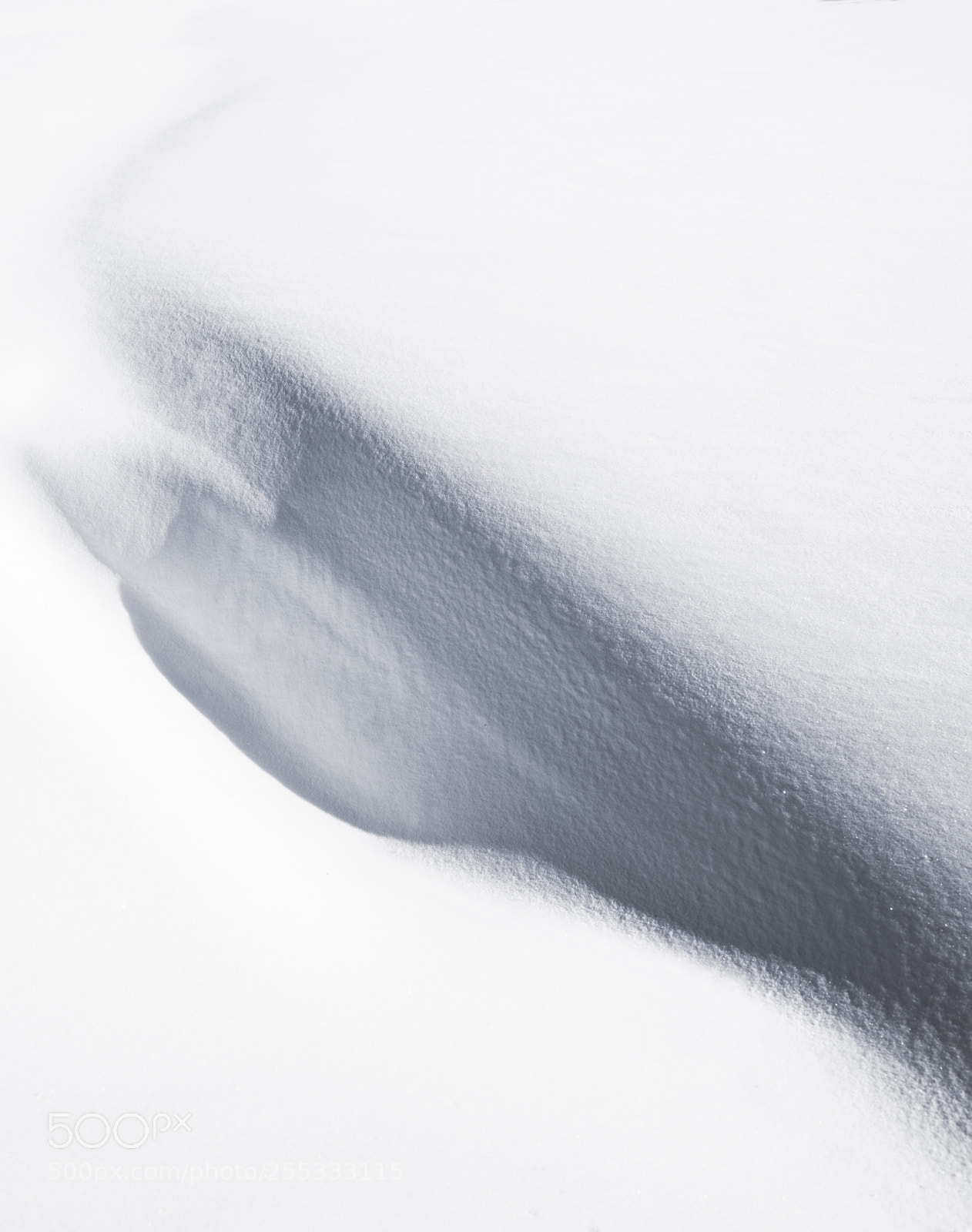 Sony a7R III sample photo. A frame of winter photography