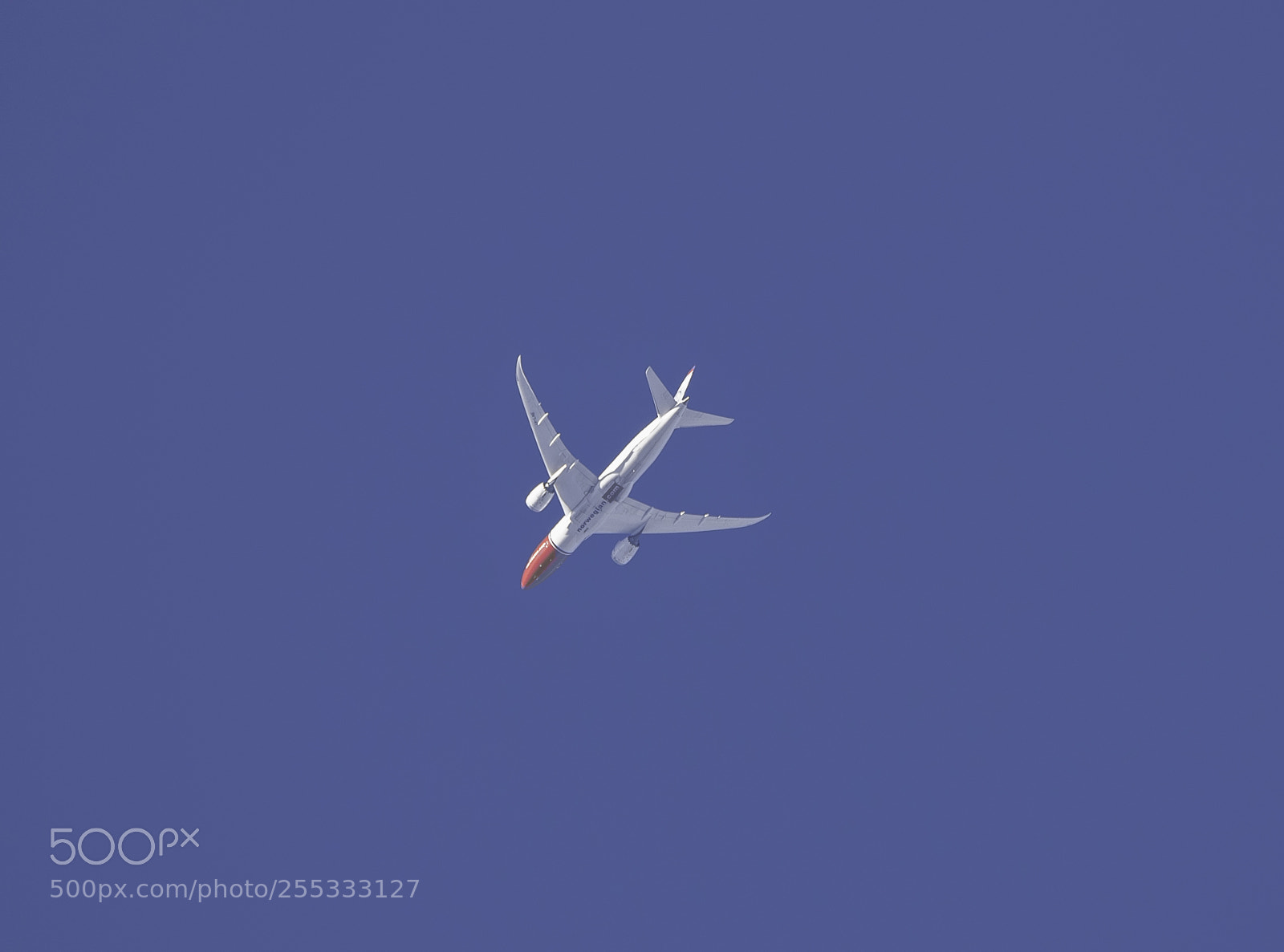 Nikon D5300 sample photo. Airplane o photography