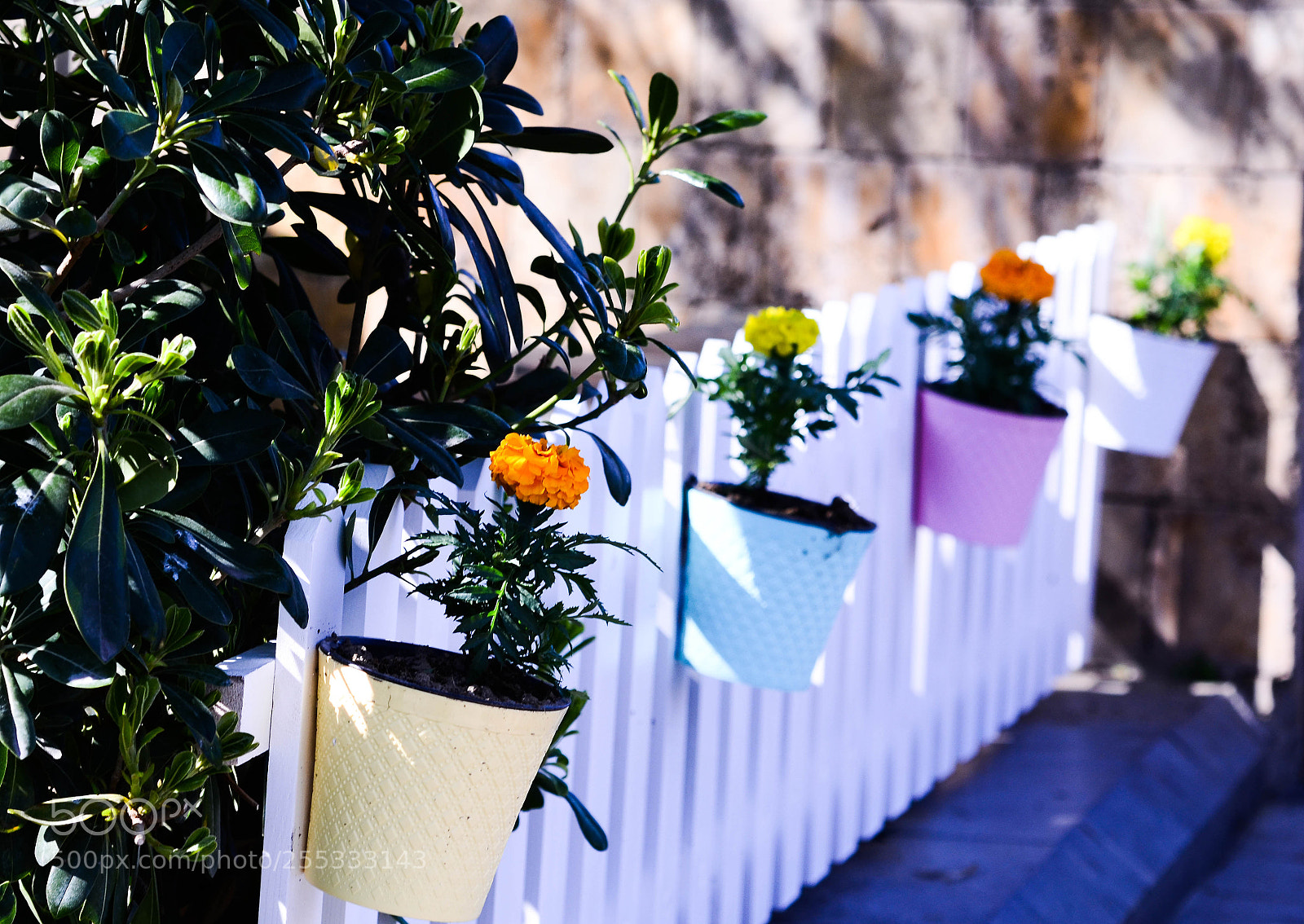 Nikon D7000 sample photo. Aze photography