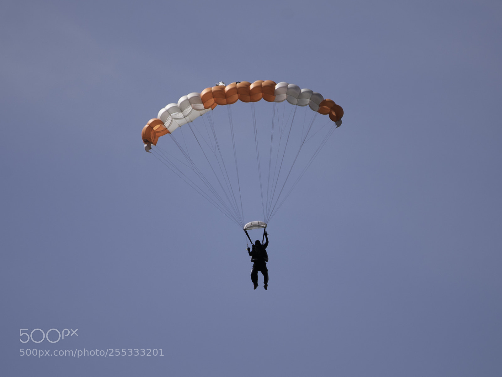 Nikon D5300 sample photo. Parachute o photography