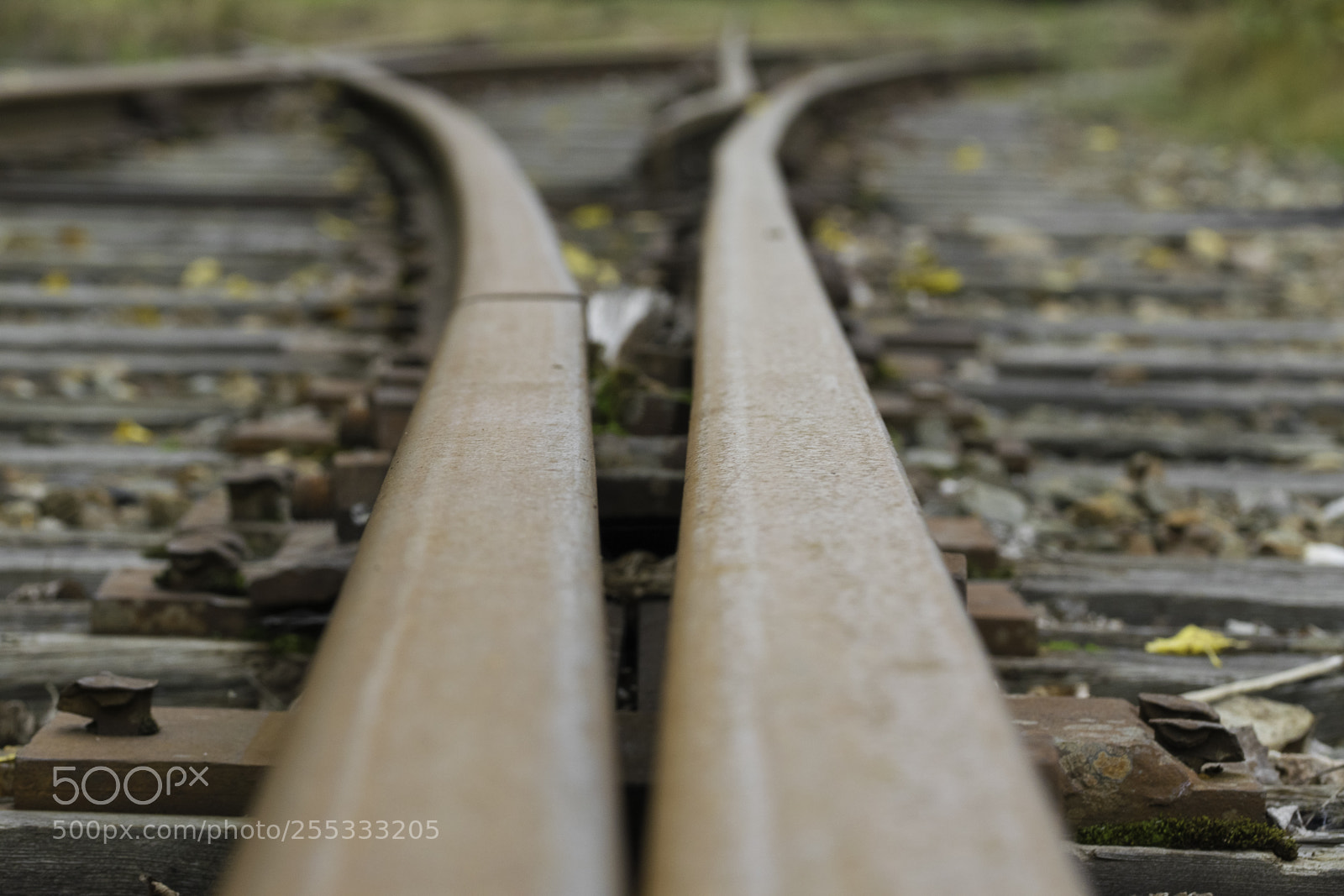 Nikon D5300 sample photo. Railroad o photography