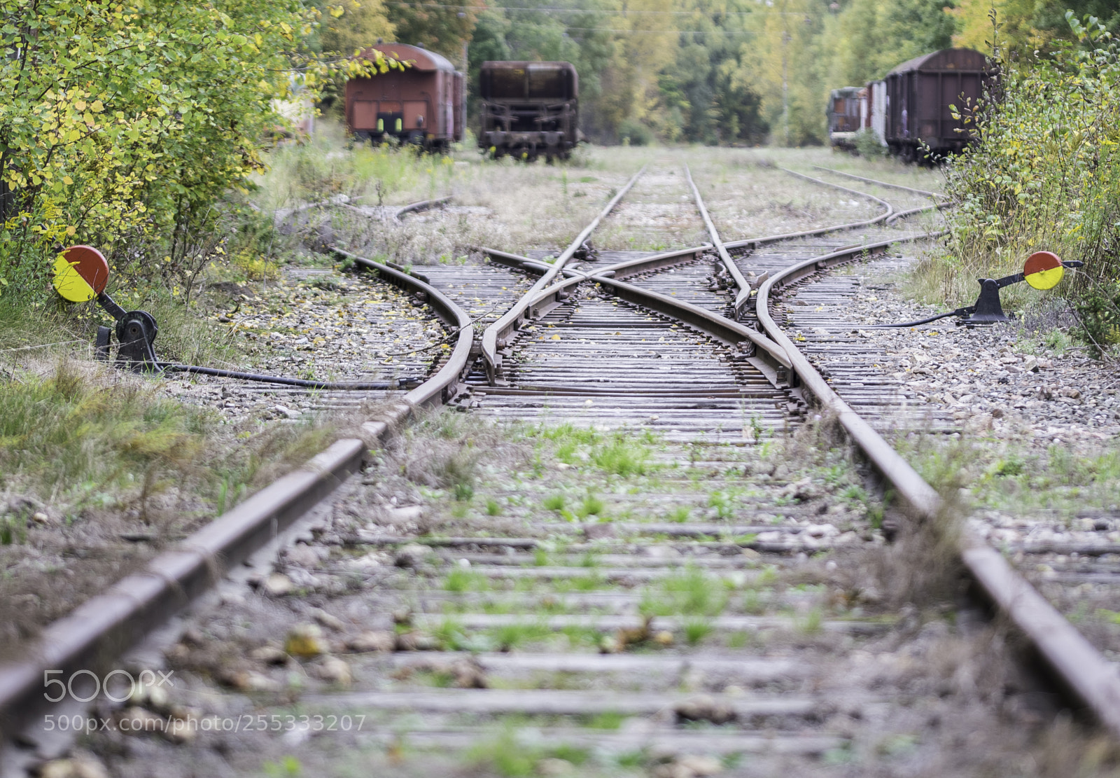 Nikon D5300 sample photo. Railroad o photography