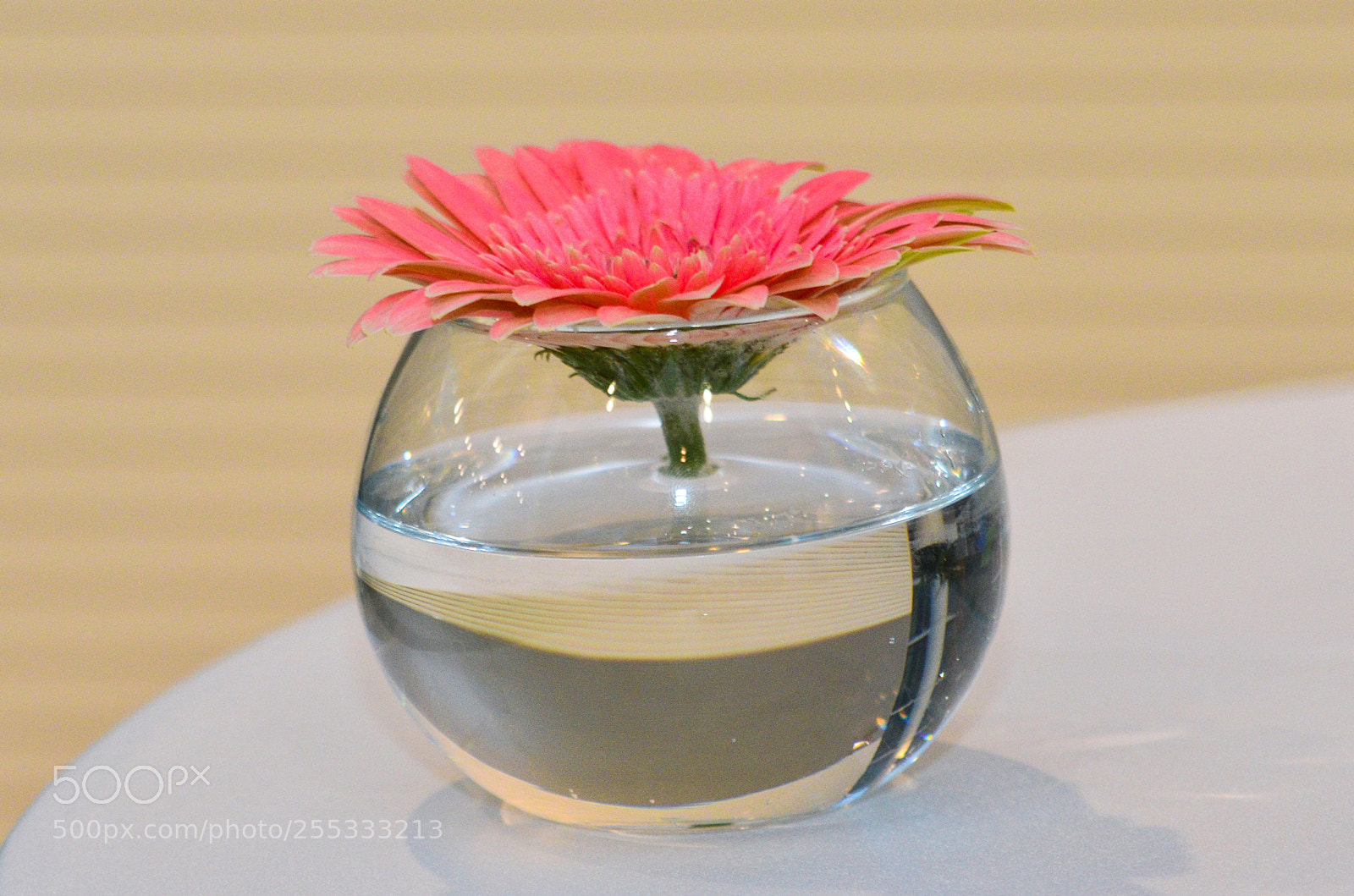 Nikon D7000 sample photo. Aze photography