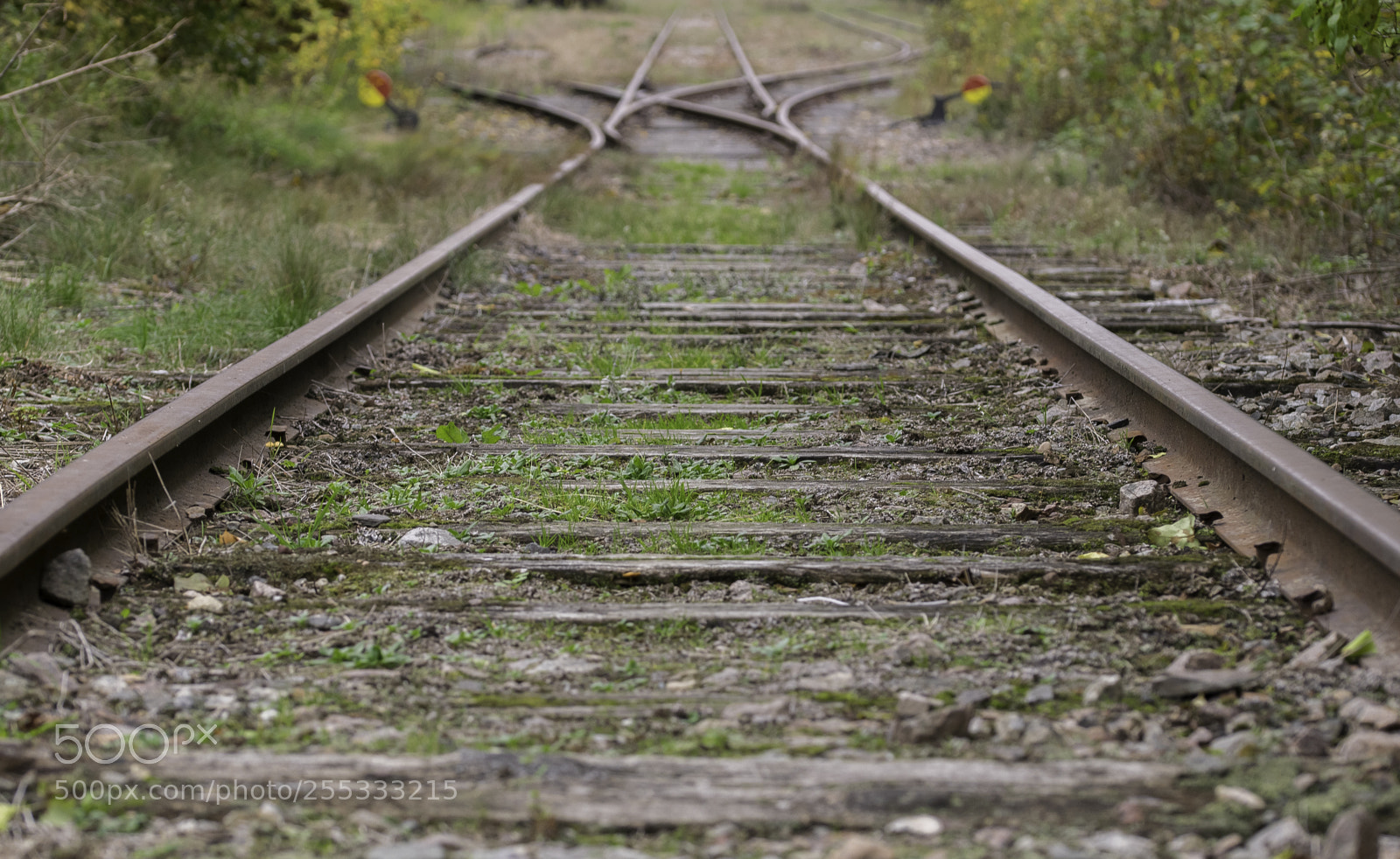Nikon D5300 sample photo. Railroad o photography