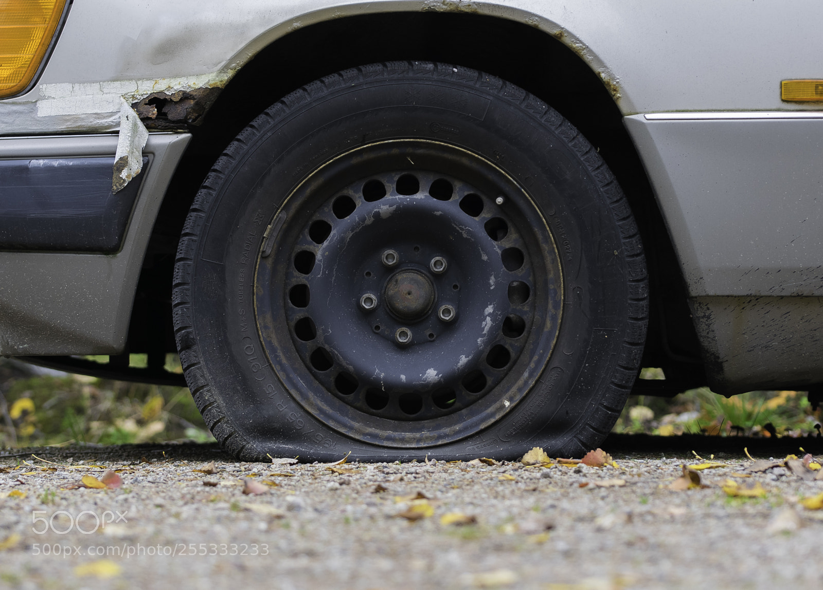 Nikon D5300 sample photo. Tire o photography