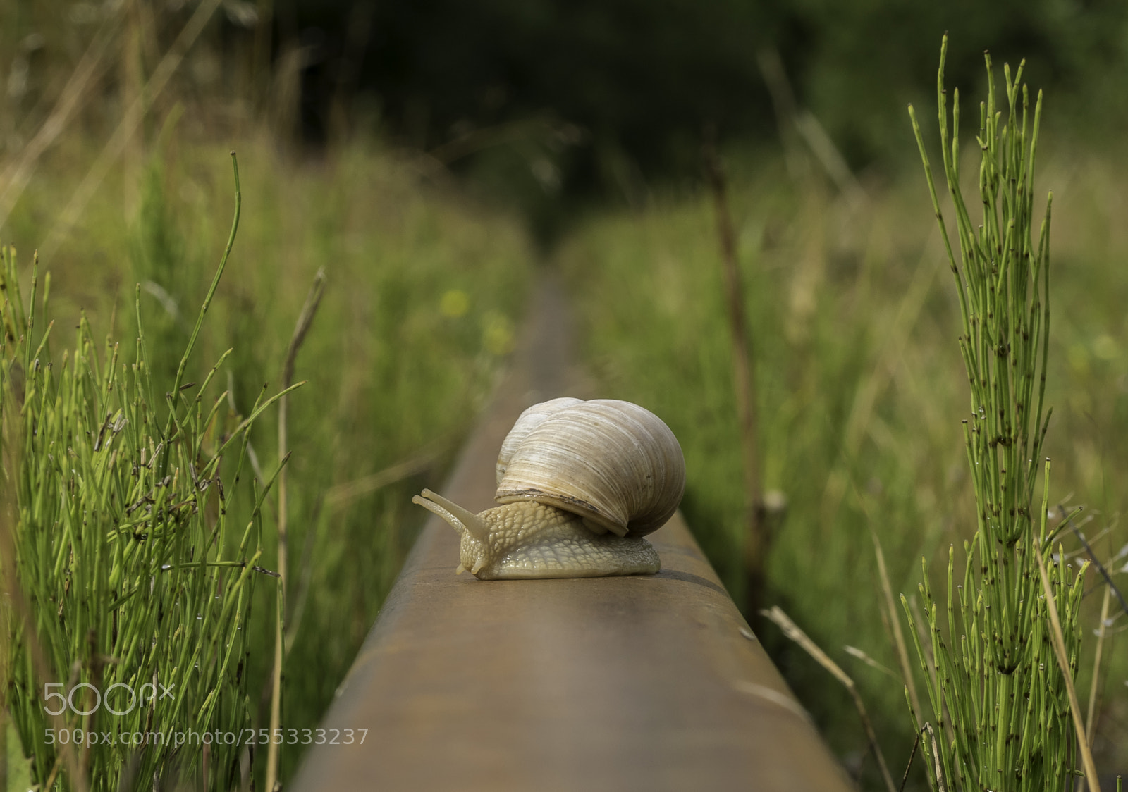 Nikon D5300 sample photo. Travelling o photography