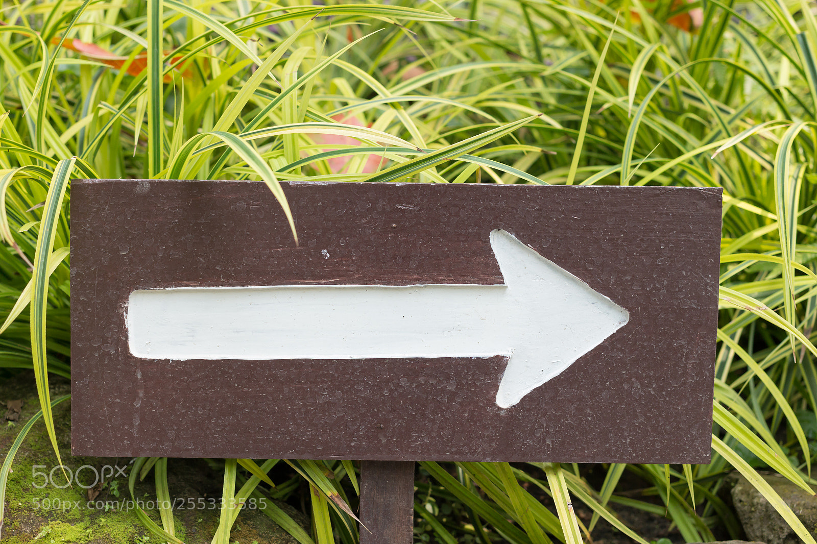 Canon EOS 70D sample photo. Arrow sign photography