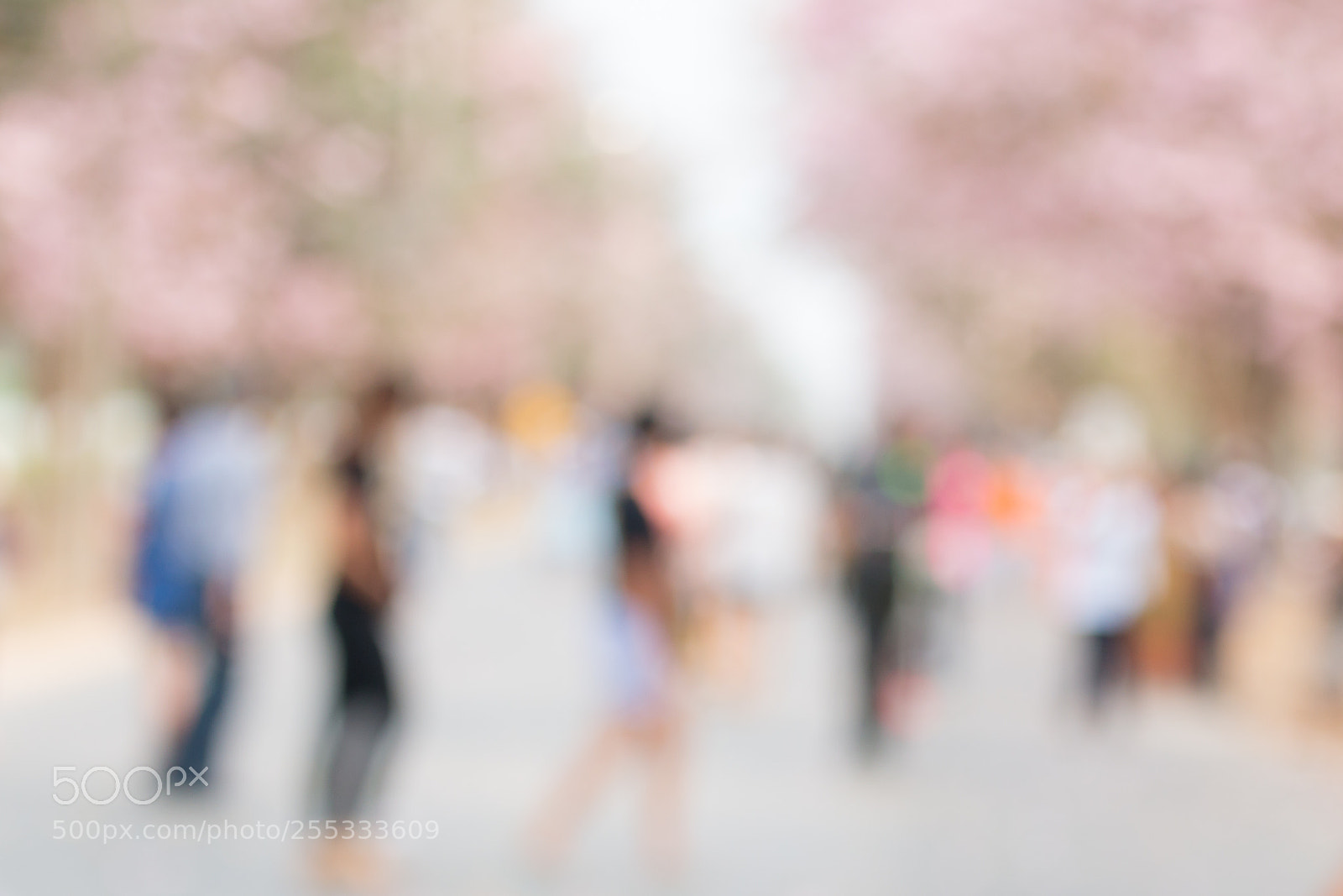 Canon EOS 70D sample photo. Blur background of travel photography