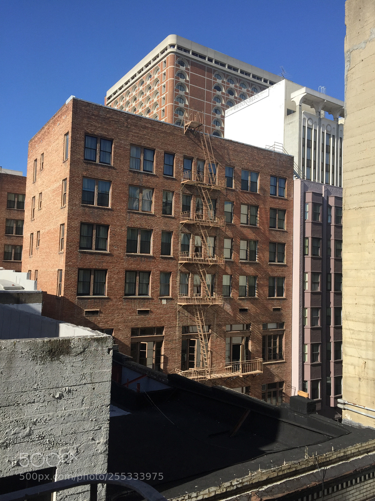 Apple iPhone 6 sample photo. San francisco, california, usa photography