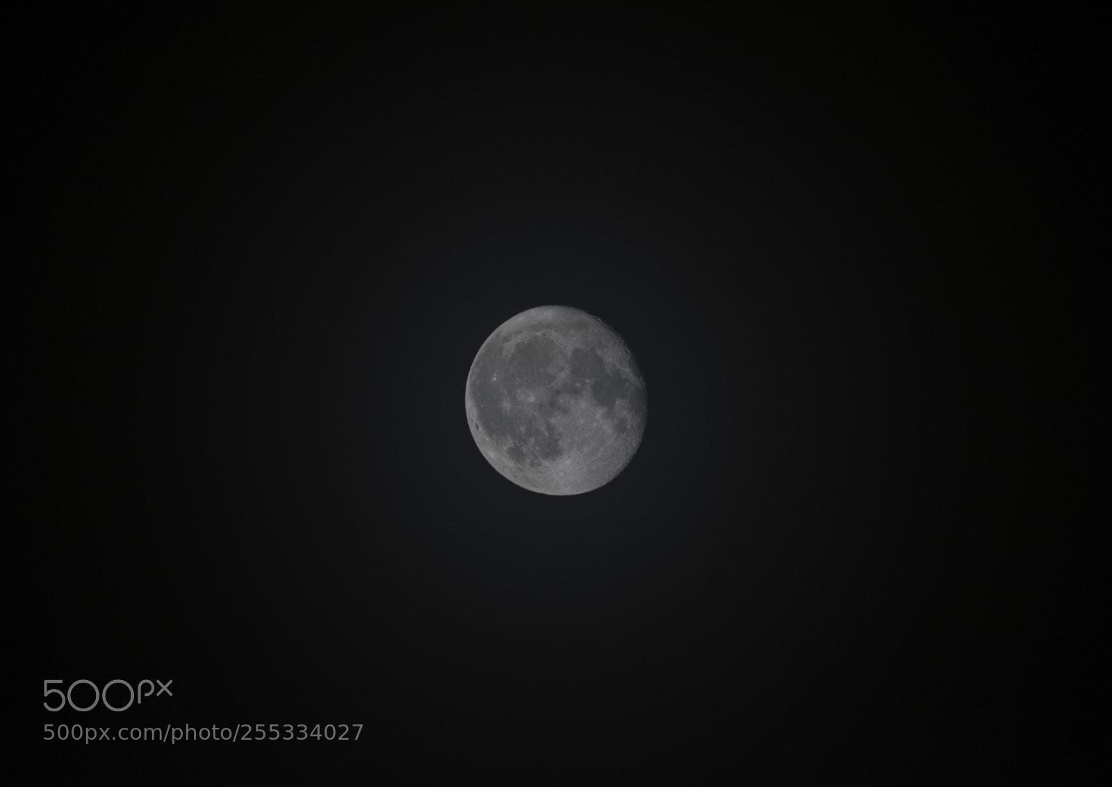 Nikon D5300 sample photo. Moon o photography