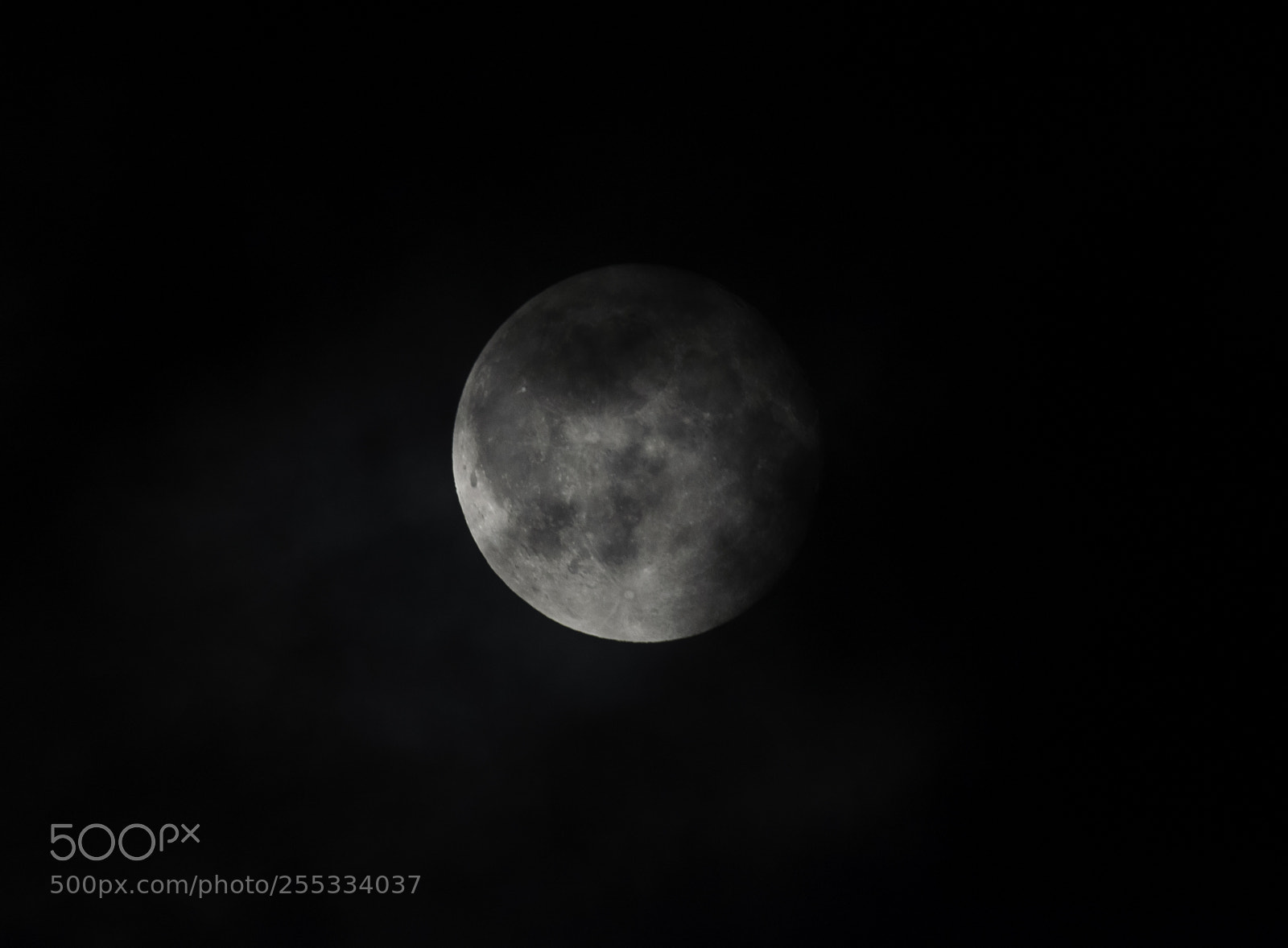 Nikon D5300 sample photo. Moon o photography