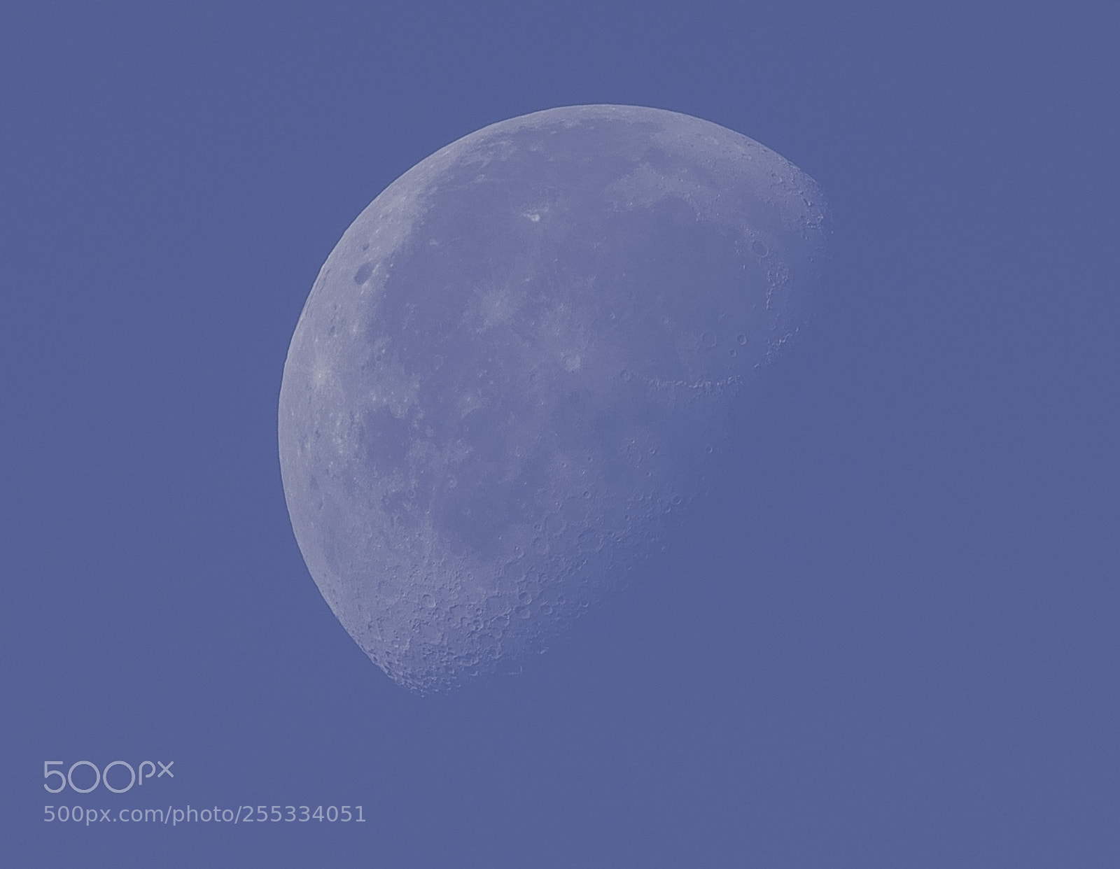 Nikon D5300 sample photo. Moon o photography