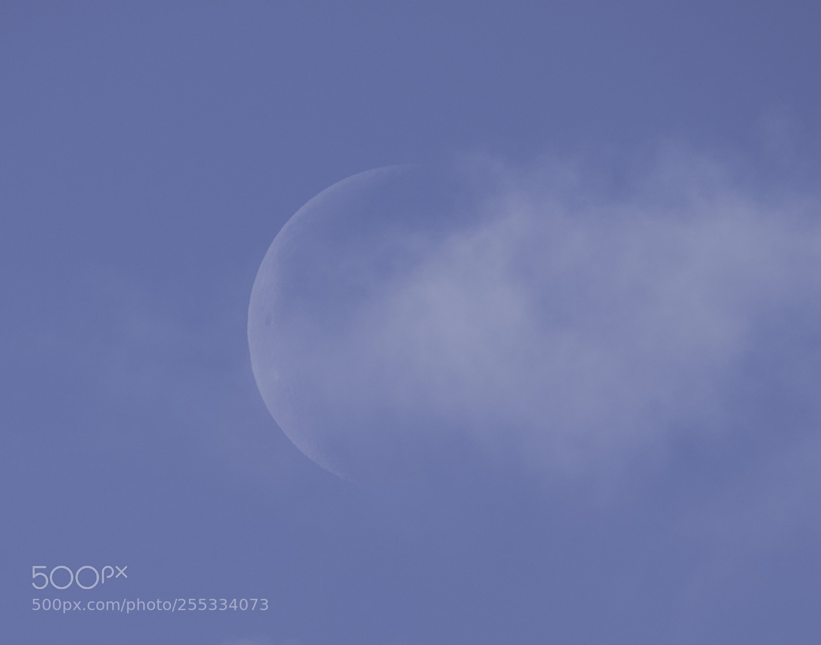 Nikon D5300 sample photo. Moon o photography