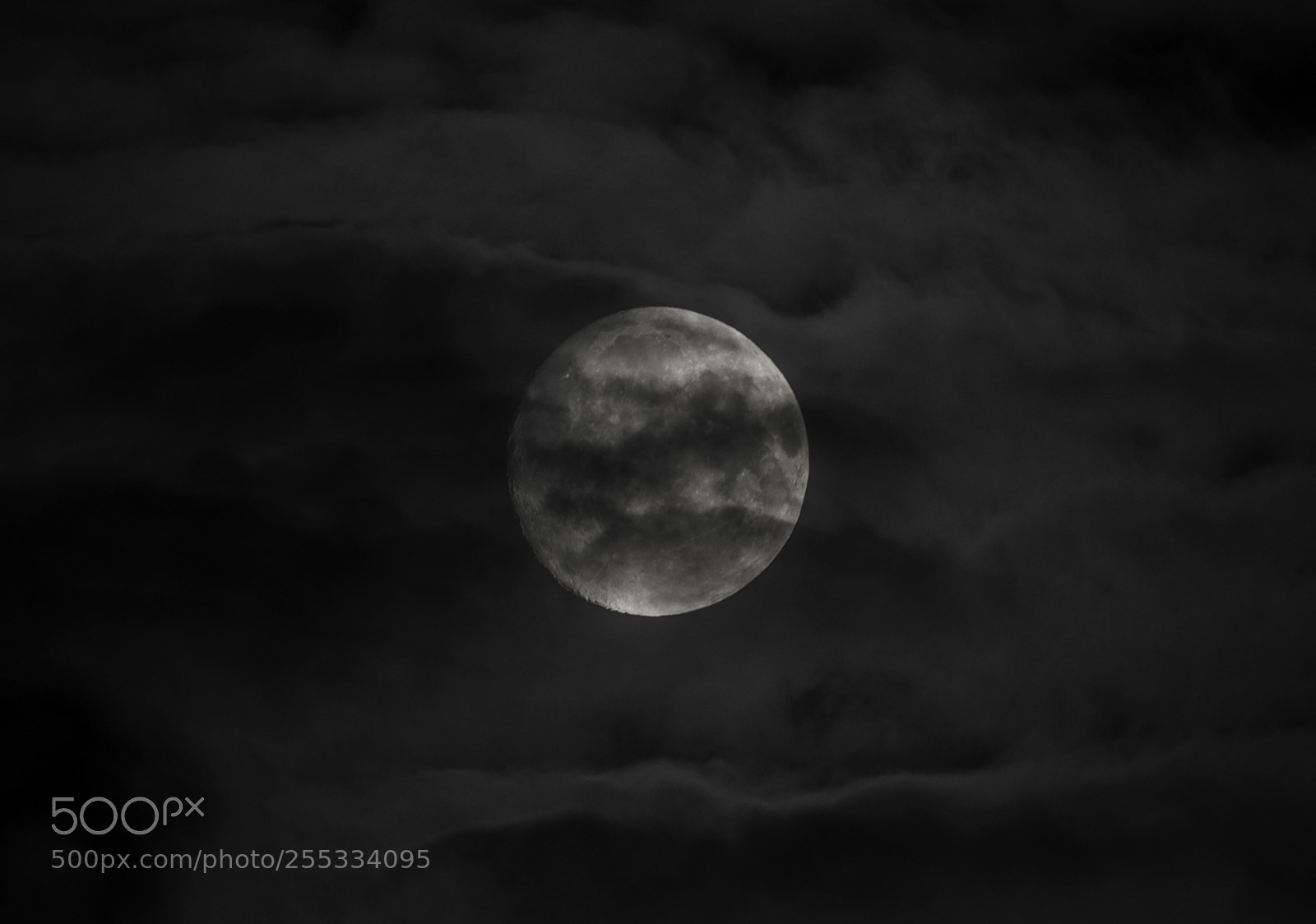 Nikon D5300 sample photo. Moon o photography