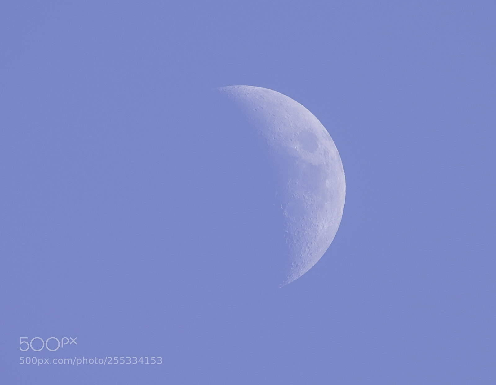 Nikon D5300 sample photo. Moon o photography