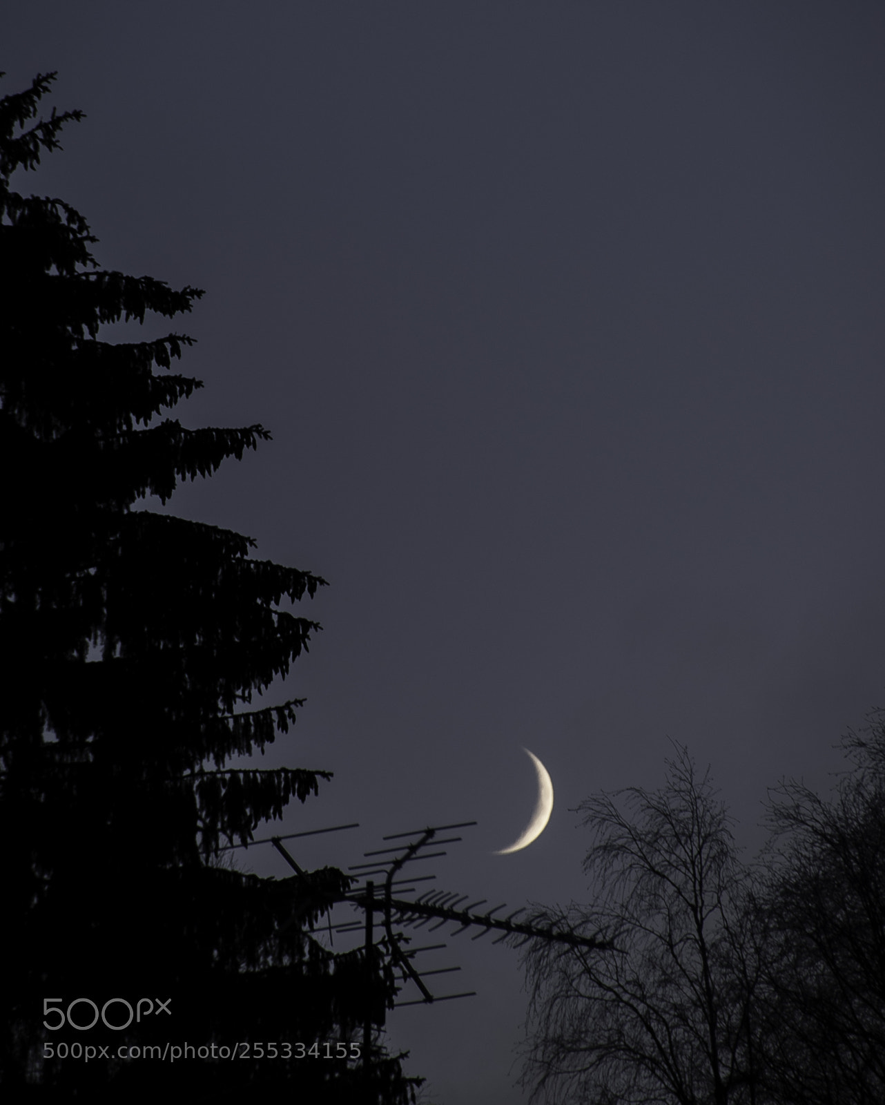 Nikon D5300 sample photo. Moon o photography