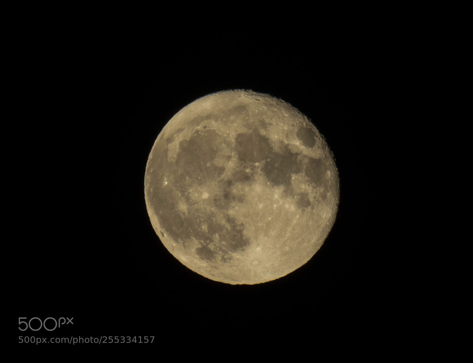 Canon PowerShot SX60 HS sample photo. Moon o photography
