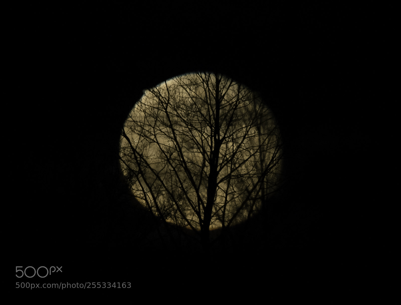 Nikon D5300 sample photo. Moon o photography