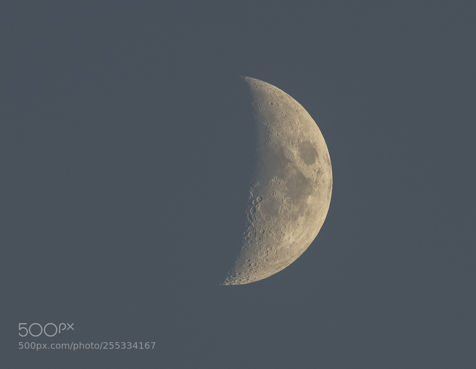 Nikon D5300 sample photo. Moon o photography