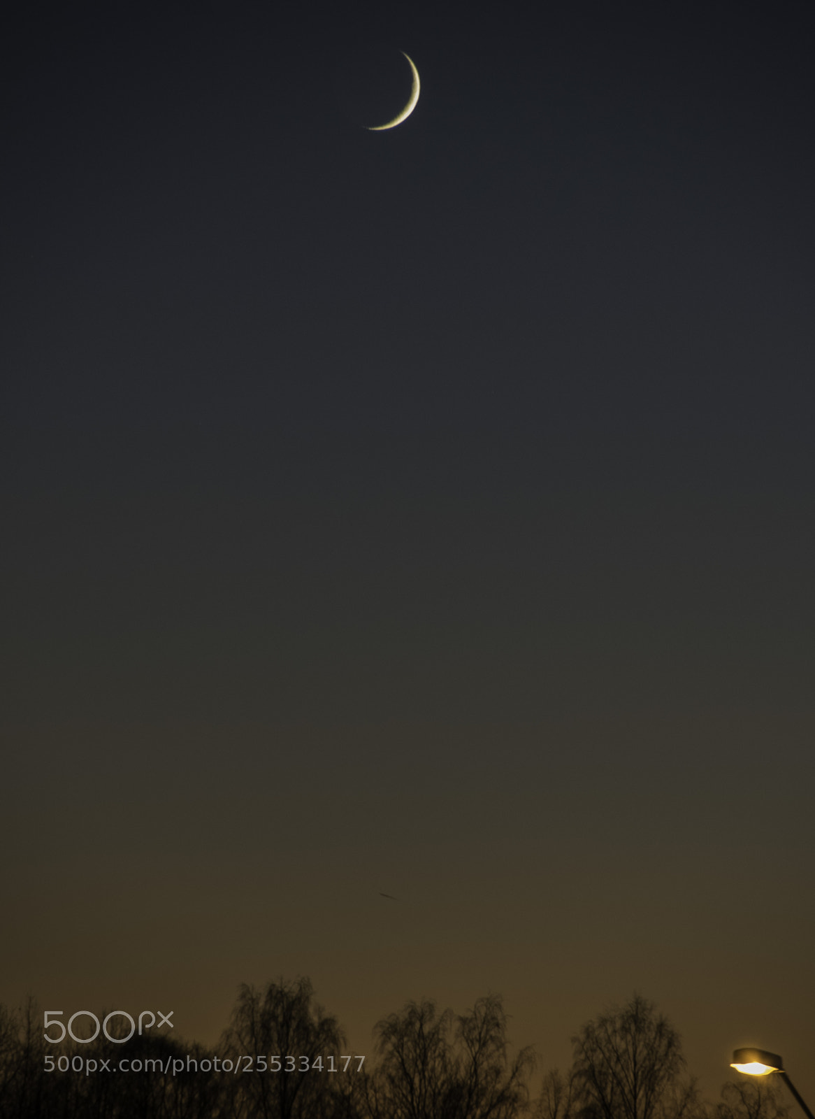 Nikon D5300 sample photo. Moon o photography
