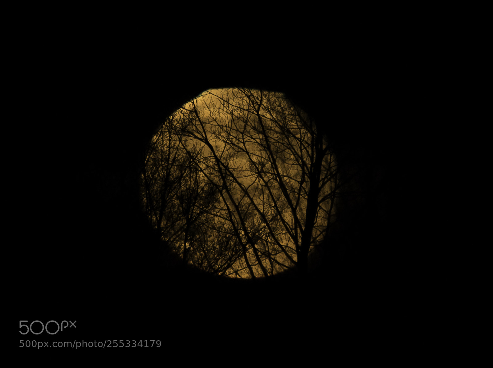 Nikon D5300 sample photo. Moon o photography