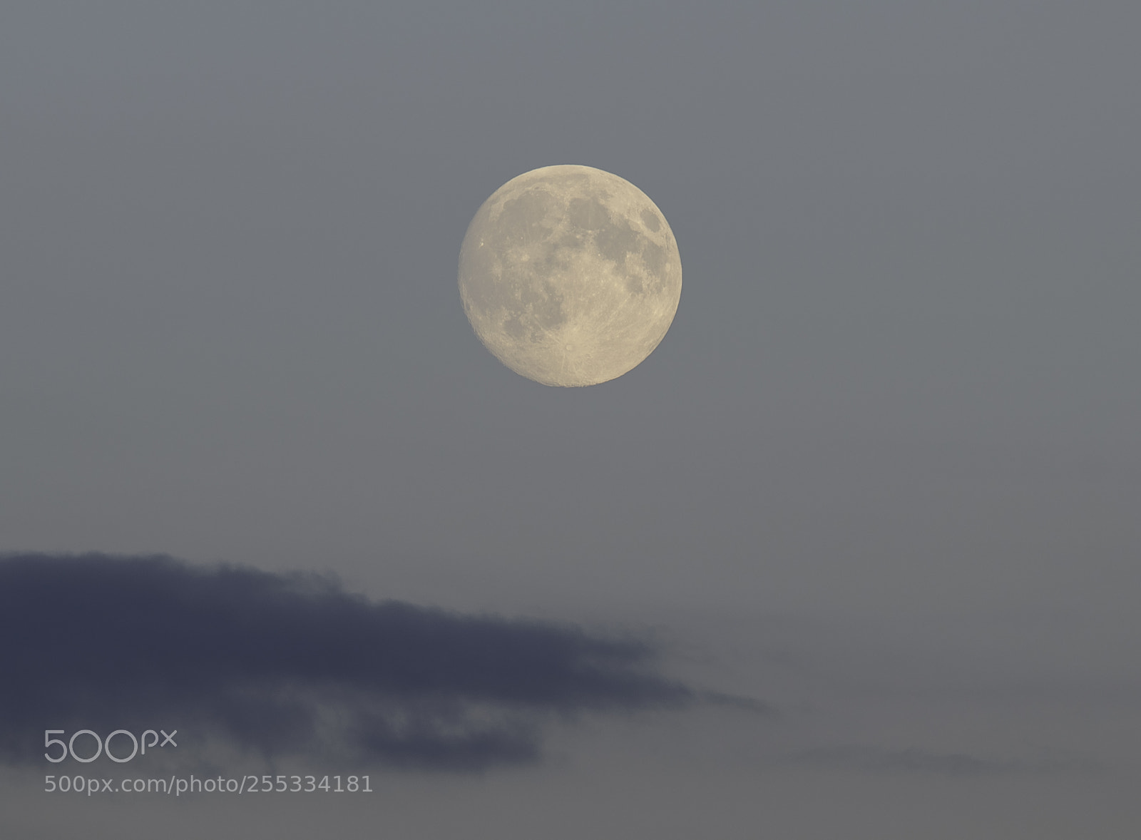 Nikon D5300 sample photo. Moon o photography