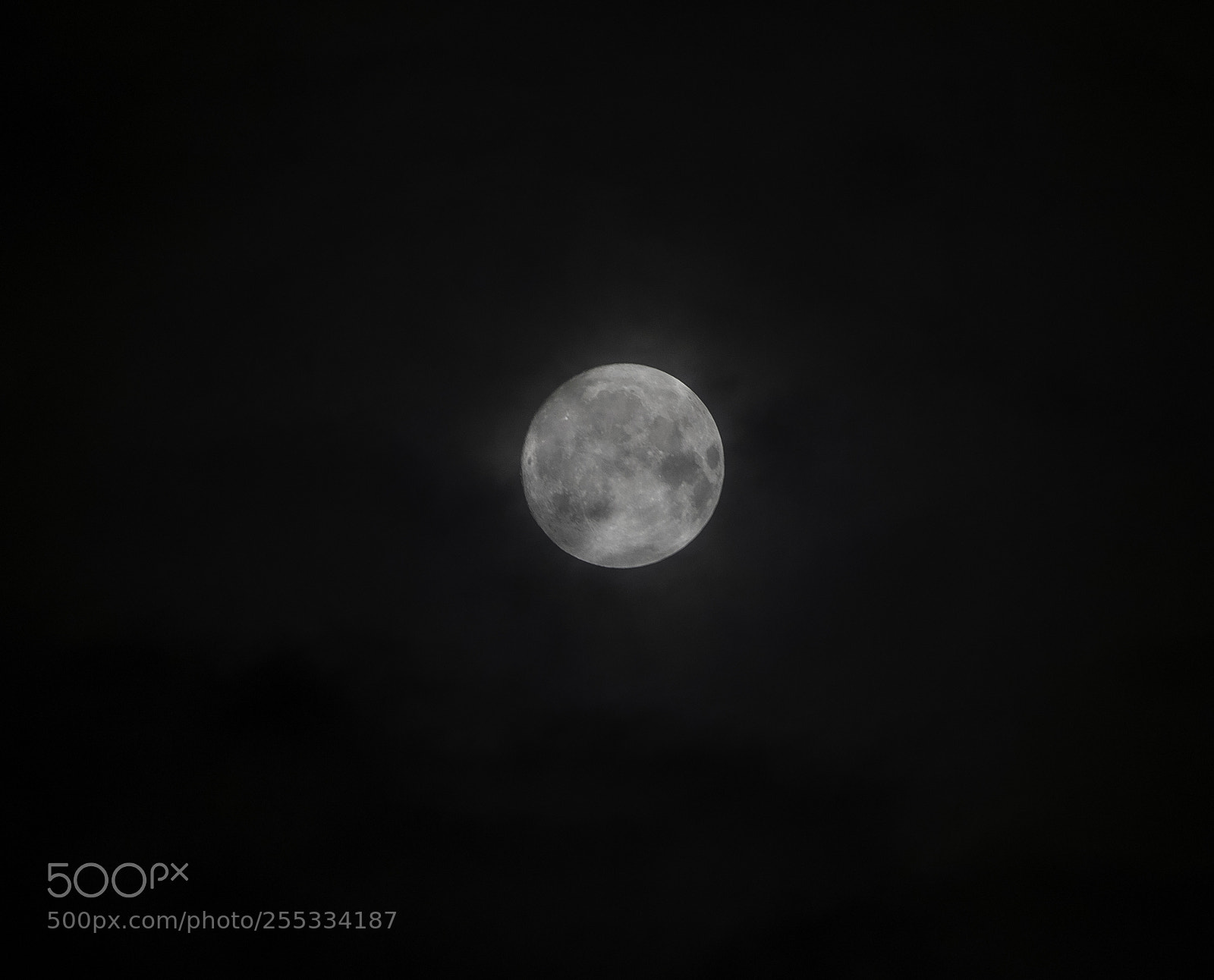 Nikon D5300 sample photo. Moon o photography