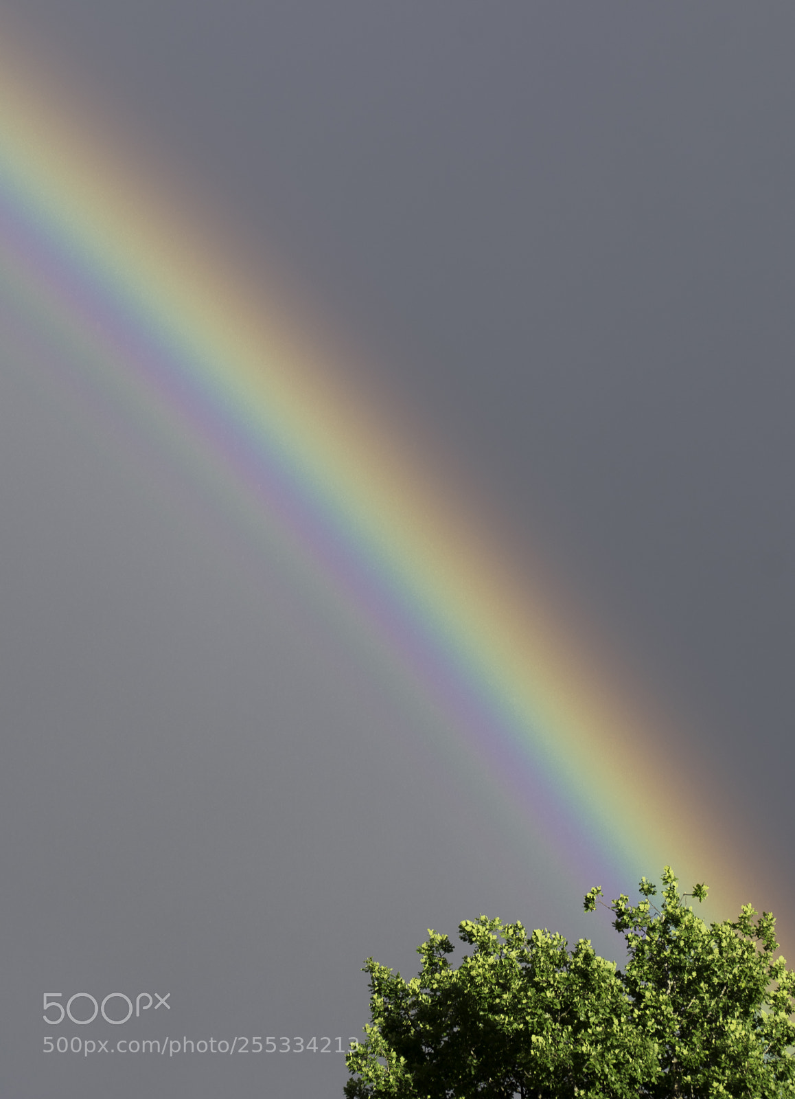 Nikon D5300 sample photo. Rainbow o photography