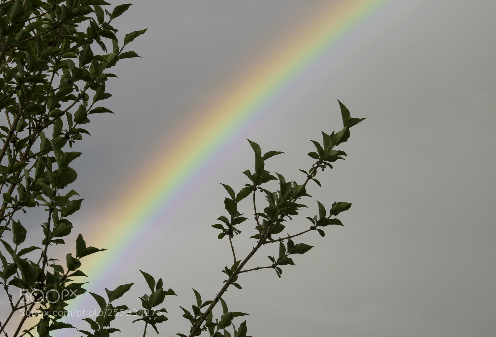 Nikon D5300 sample photo. Rainbow o photography