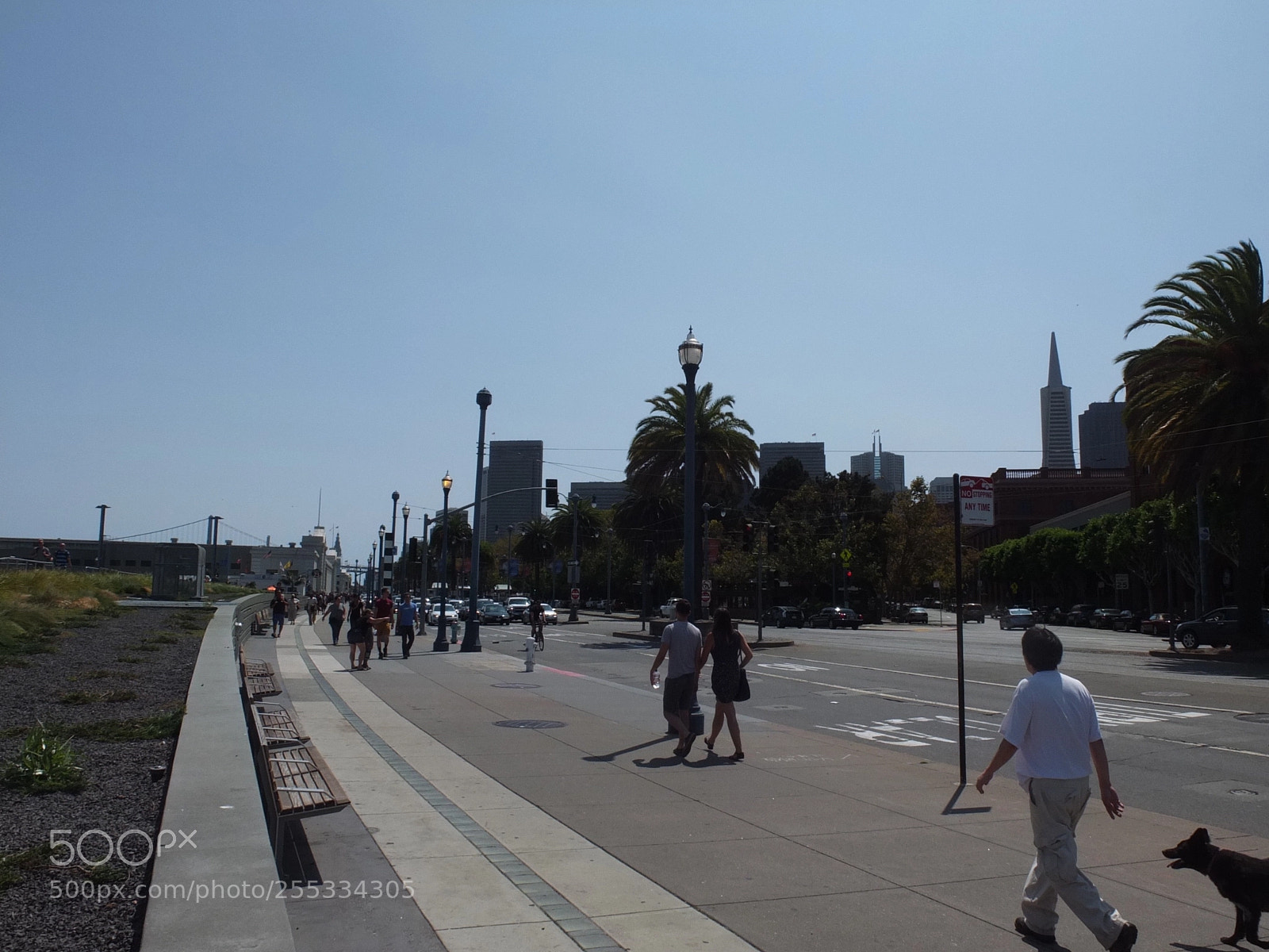 Fujifilm X10 sample photo. San francisco, california, usa photography