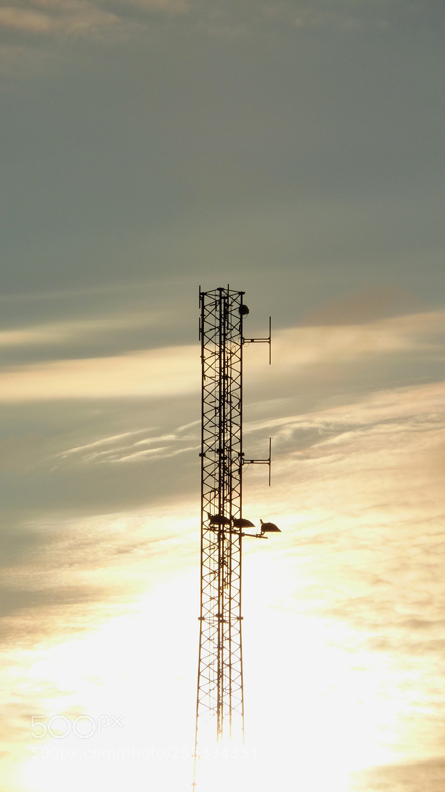 Panasonic DMC-TZ7 sample photo. Sky o photography