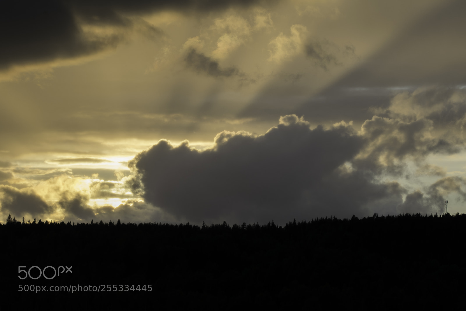 Nikon D5300 sample photo. Sky o photography