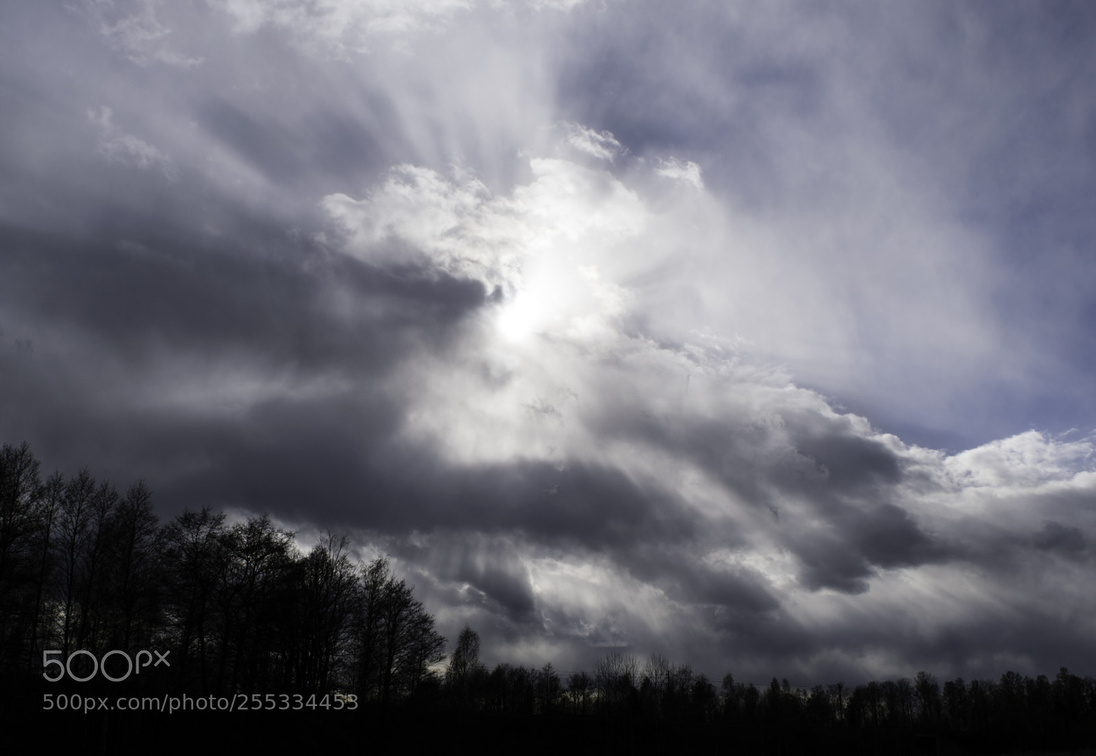 Nikon D5300 sample photo. Sky o photography