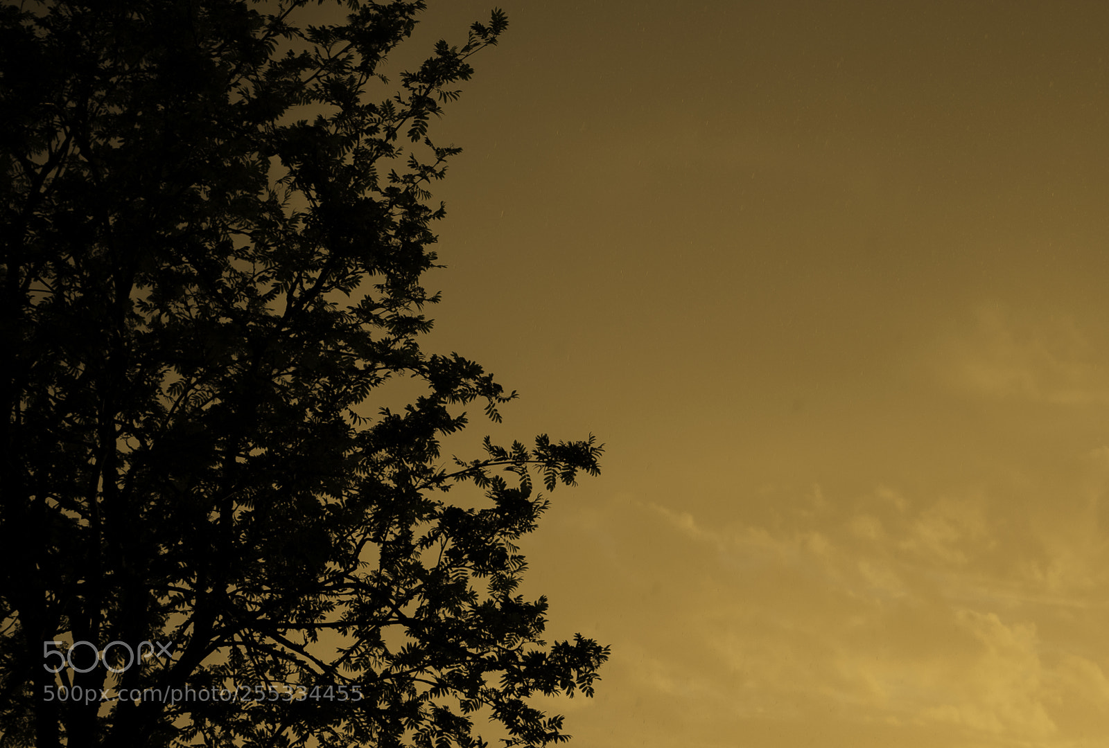 Nikon D5300 sample photo. Sky o photography