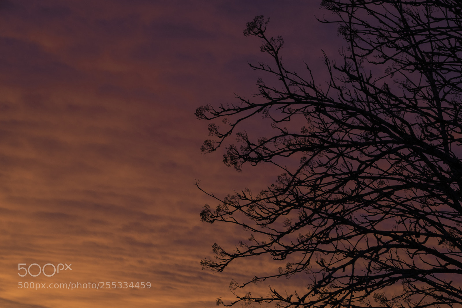 Nikon D5300 sample photo. Sky o photography
