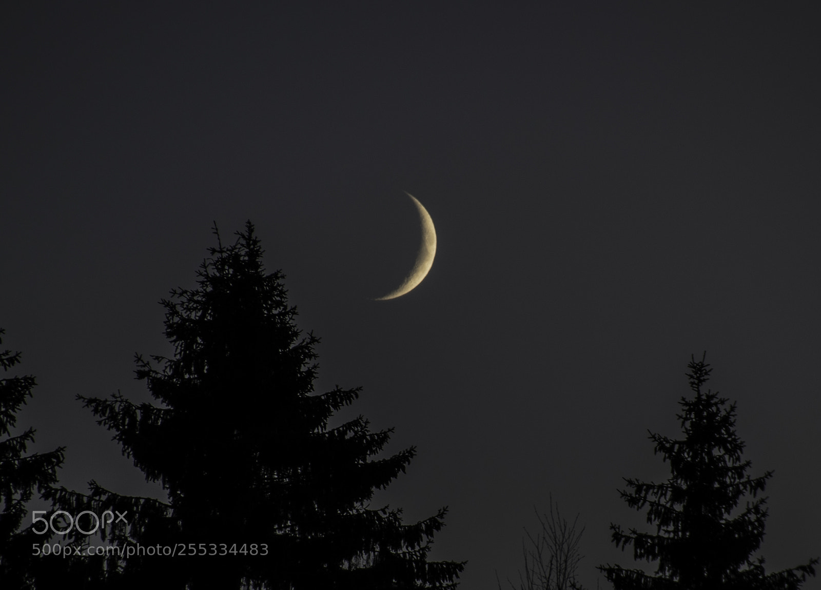Nikon D5300 sample photo. Sky o photography