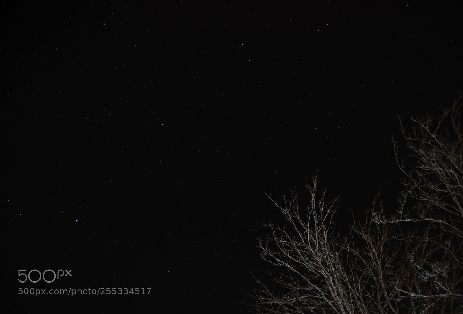 Nikon D5300 sample photo. Sky o photography