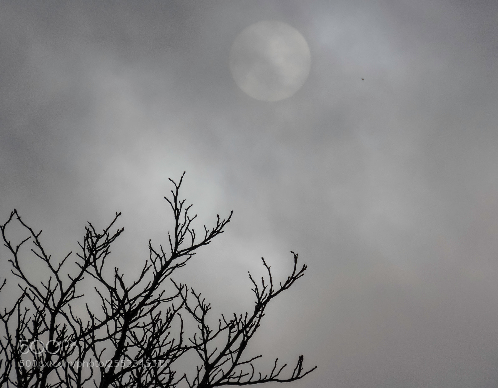 Canon PowerShot SX60 HS sample photo. Sky o photography