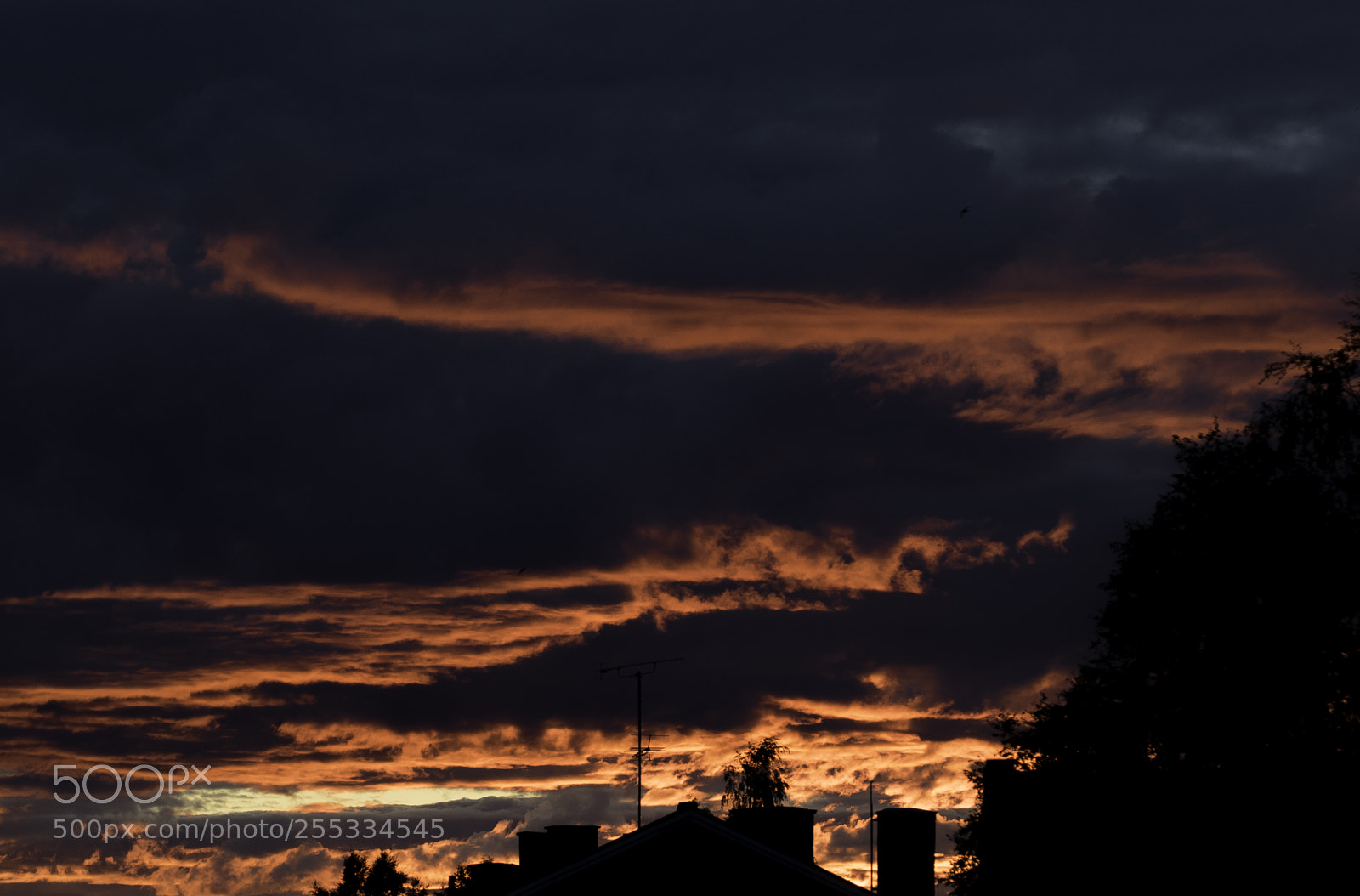 Nikon D5300 sample photo. Sky o photography