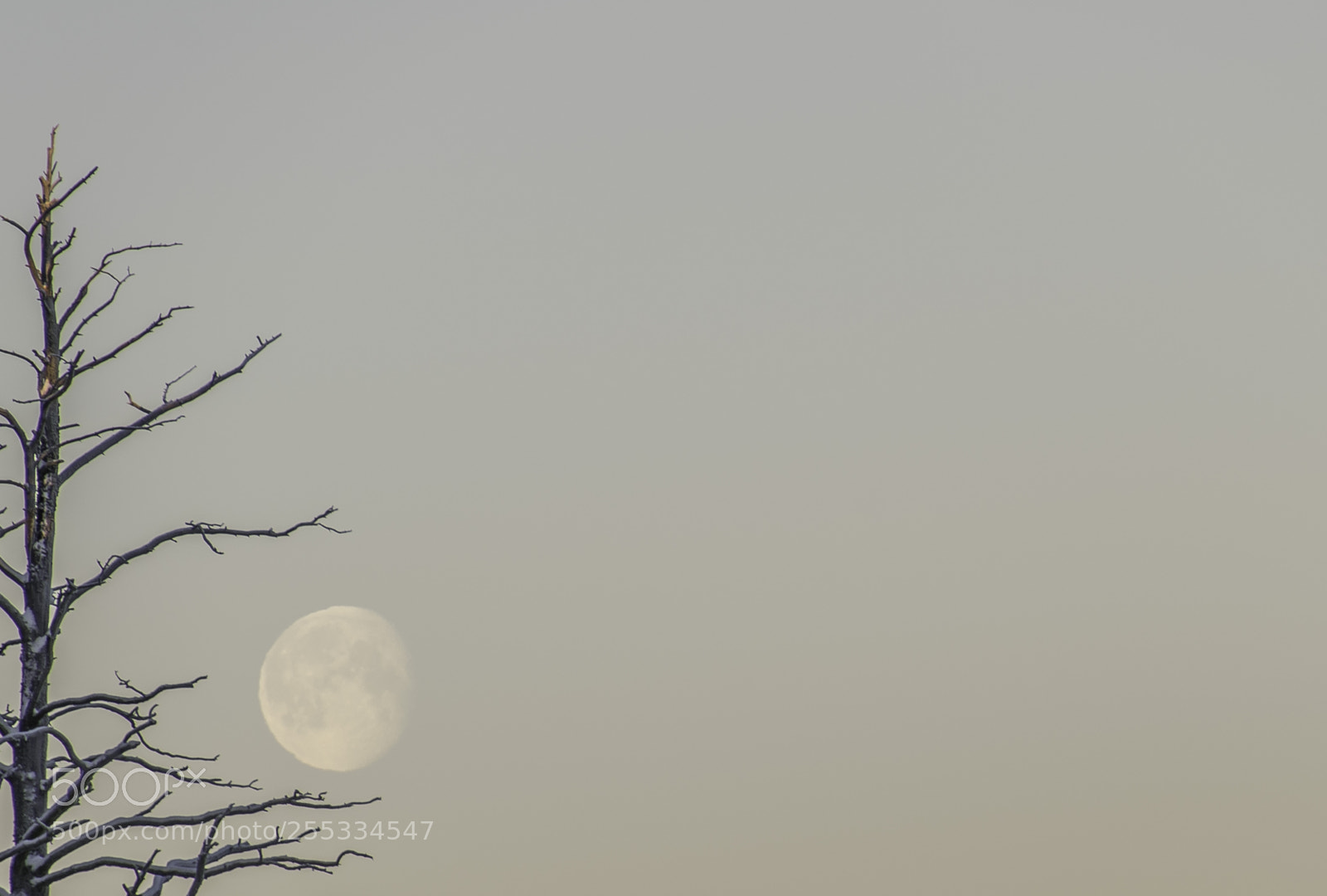 Nikon D5300 sample photo. Sky o photography