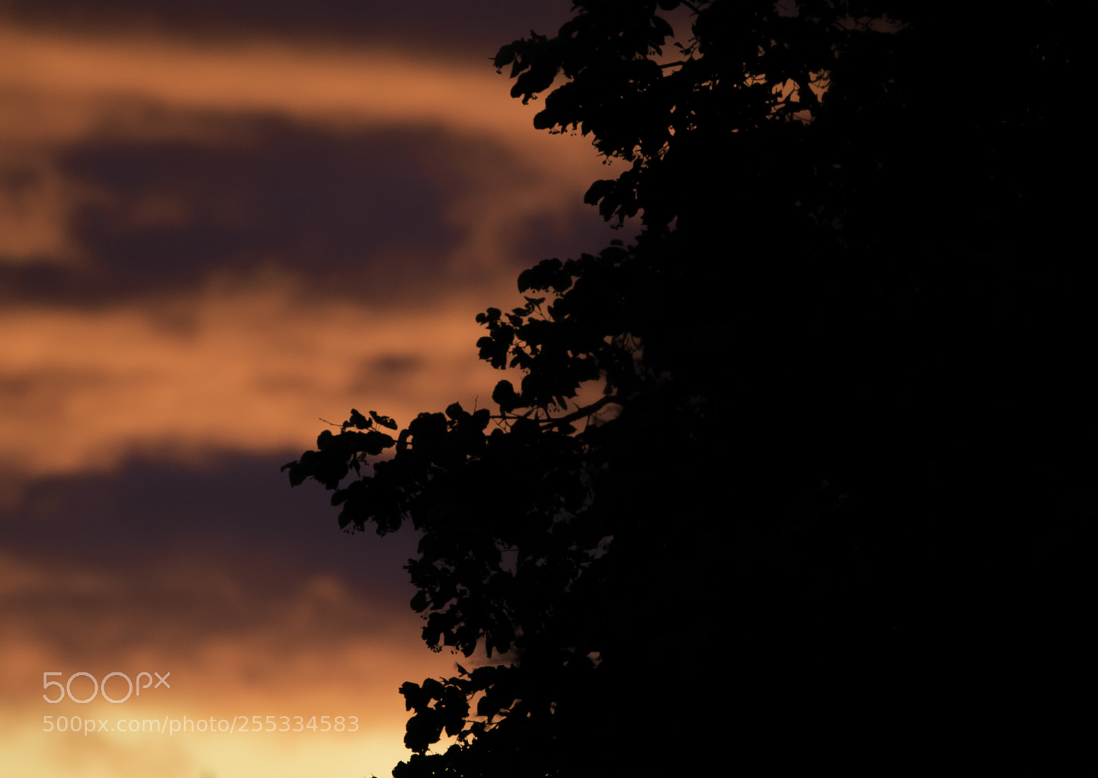 Nikon D5300 sample photo. Sky o photography